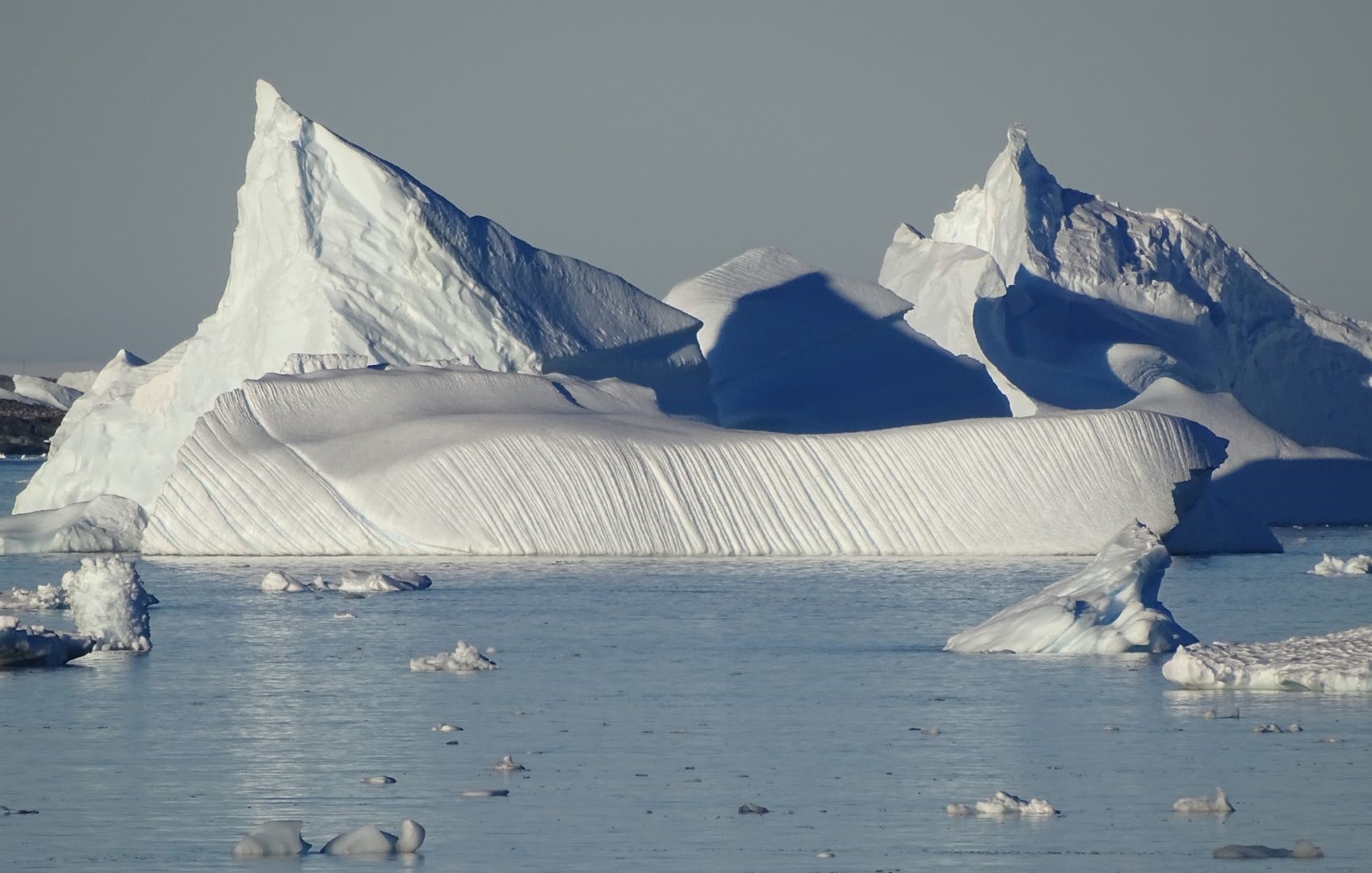 Chinh phuc Nam Cuc anh 23