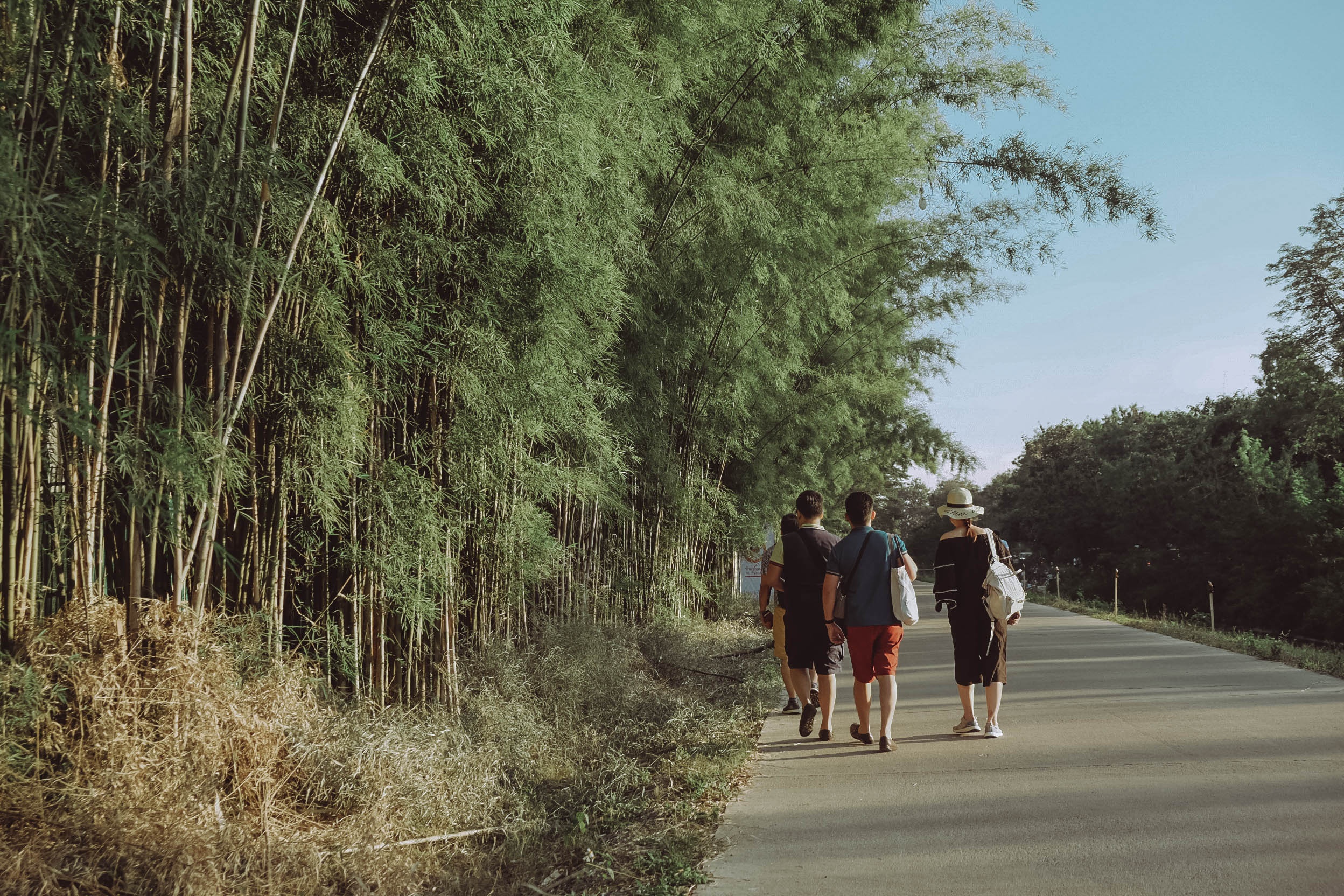 Tha den troi o Thai Lan anh 40