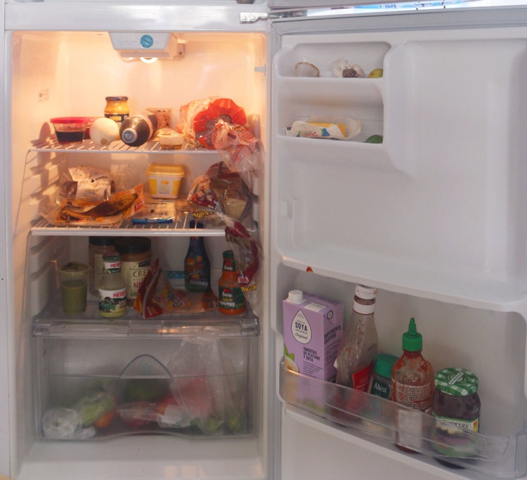 Tu lanh o cac nuoc co gi? anh 7