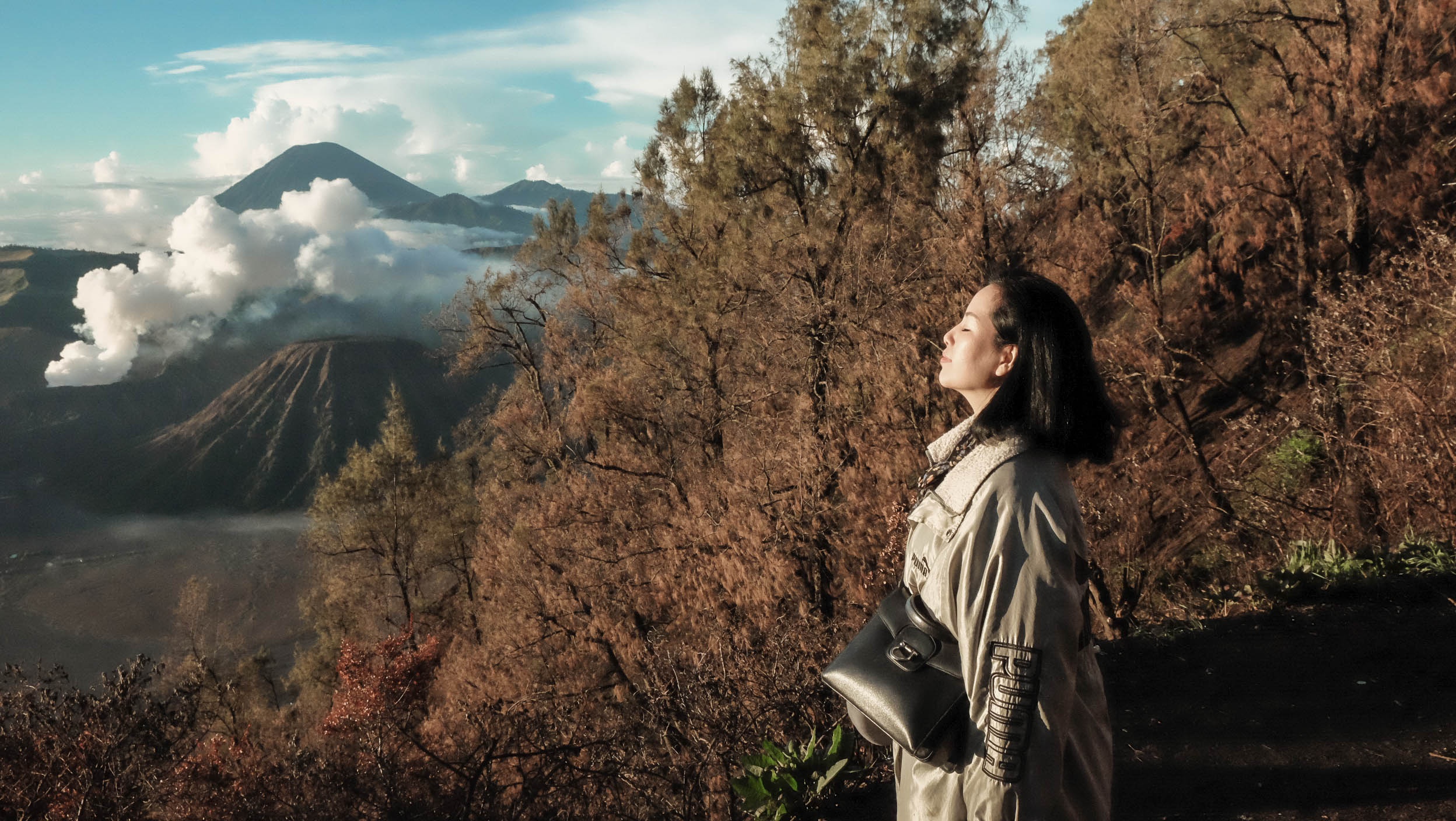 Nui lua Bromo,  Indonesia anh 3