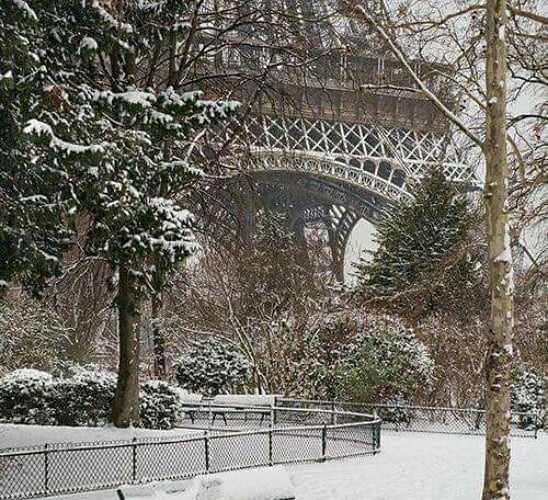 Mua dong tren the gioi anh 3