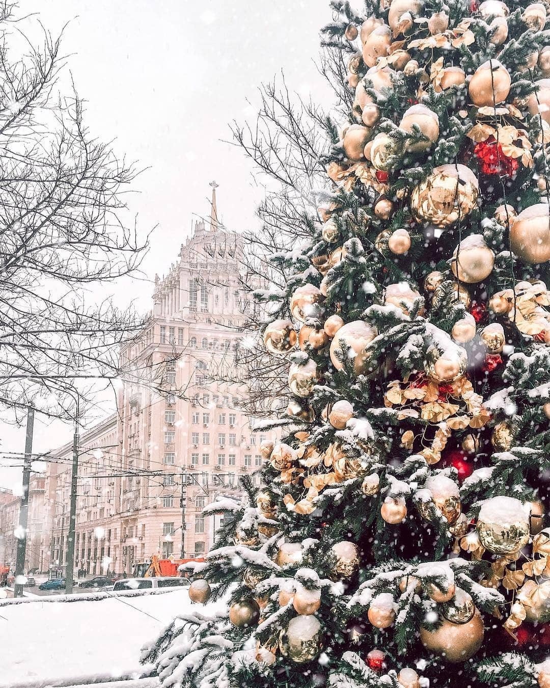 Mua dong tren the gioi anh 6