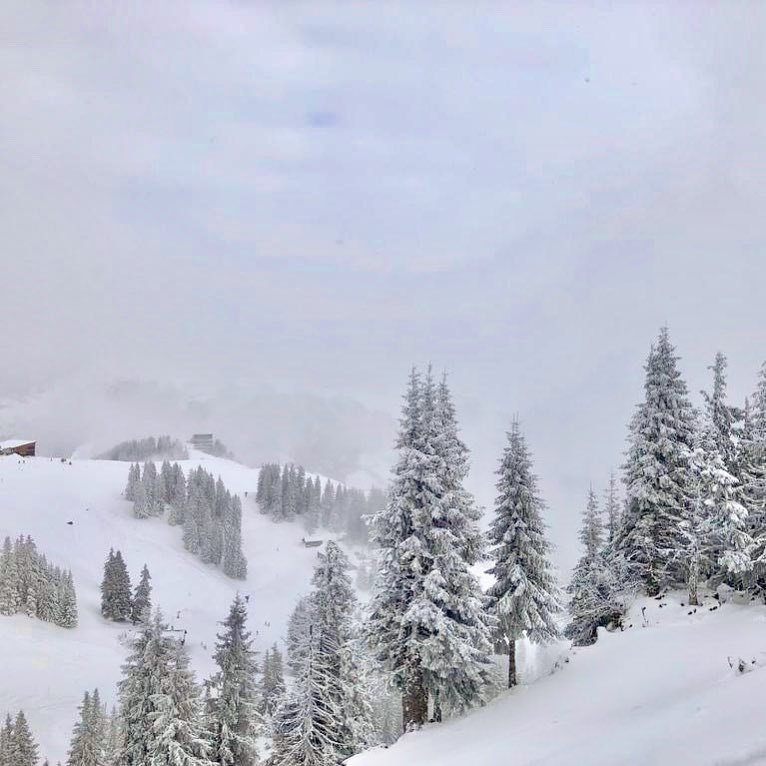 Mua dong tren the gioi anh 9