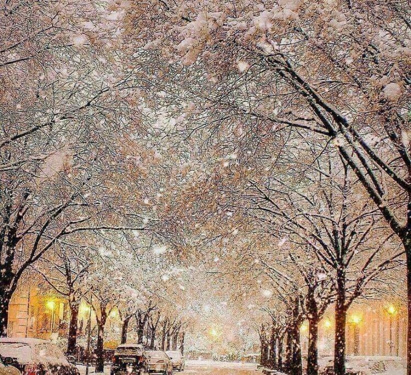 Mua dong tren the gioi anh 2