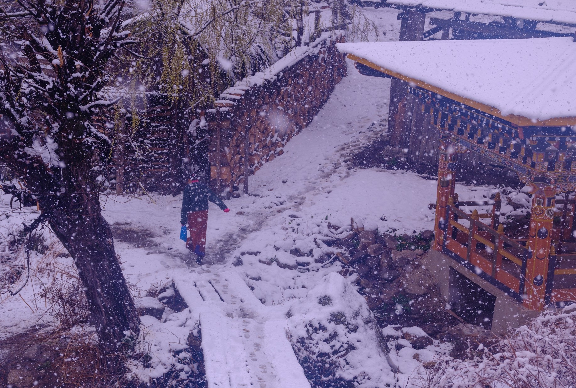 Dieu khac biet o Bhutan anh 12