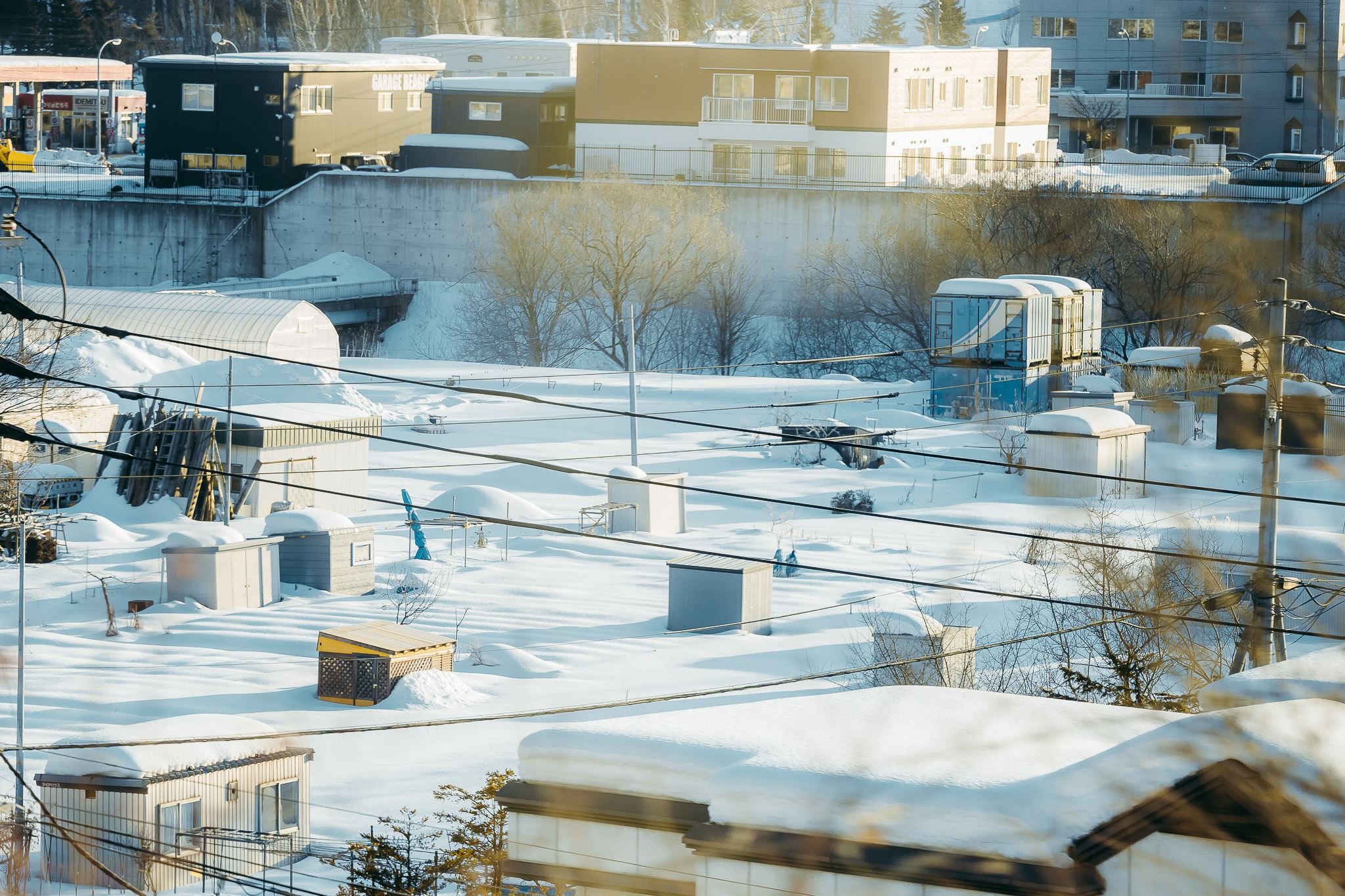 Hokkaido mua dong anh 11