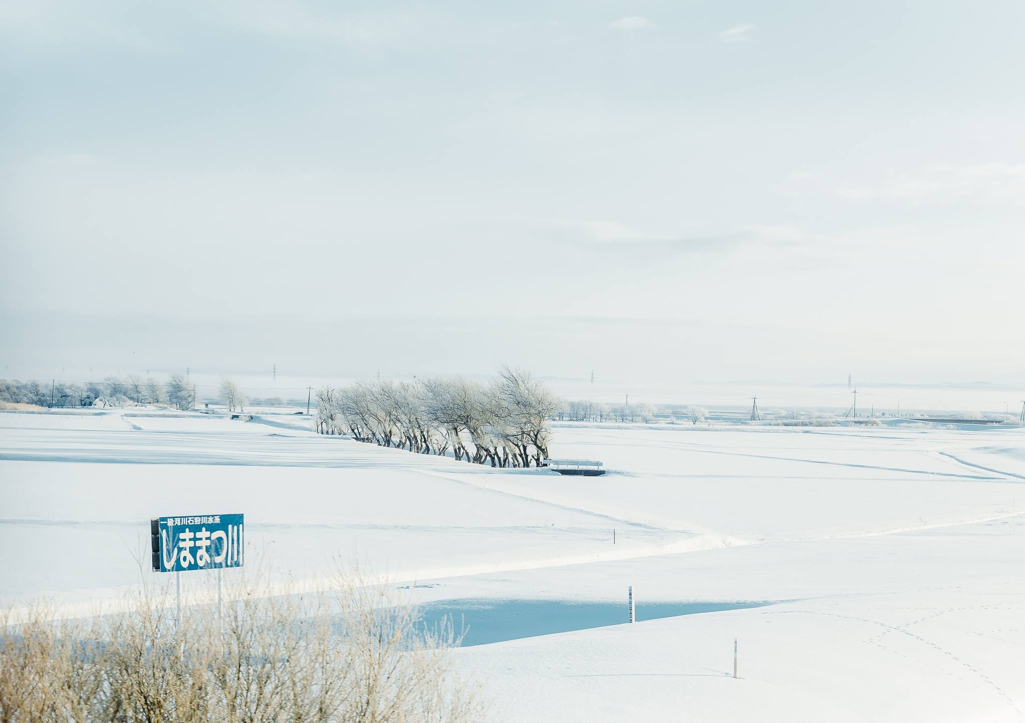 Hokkaido mua dong anh 12