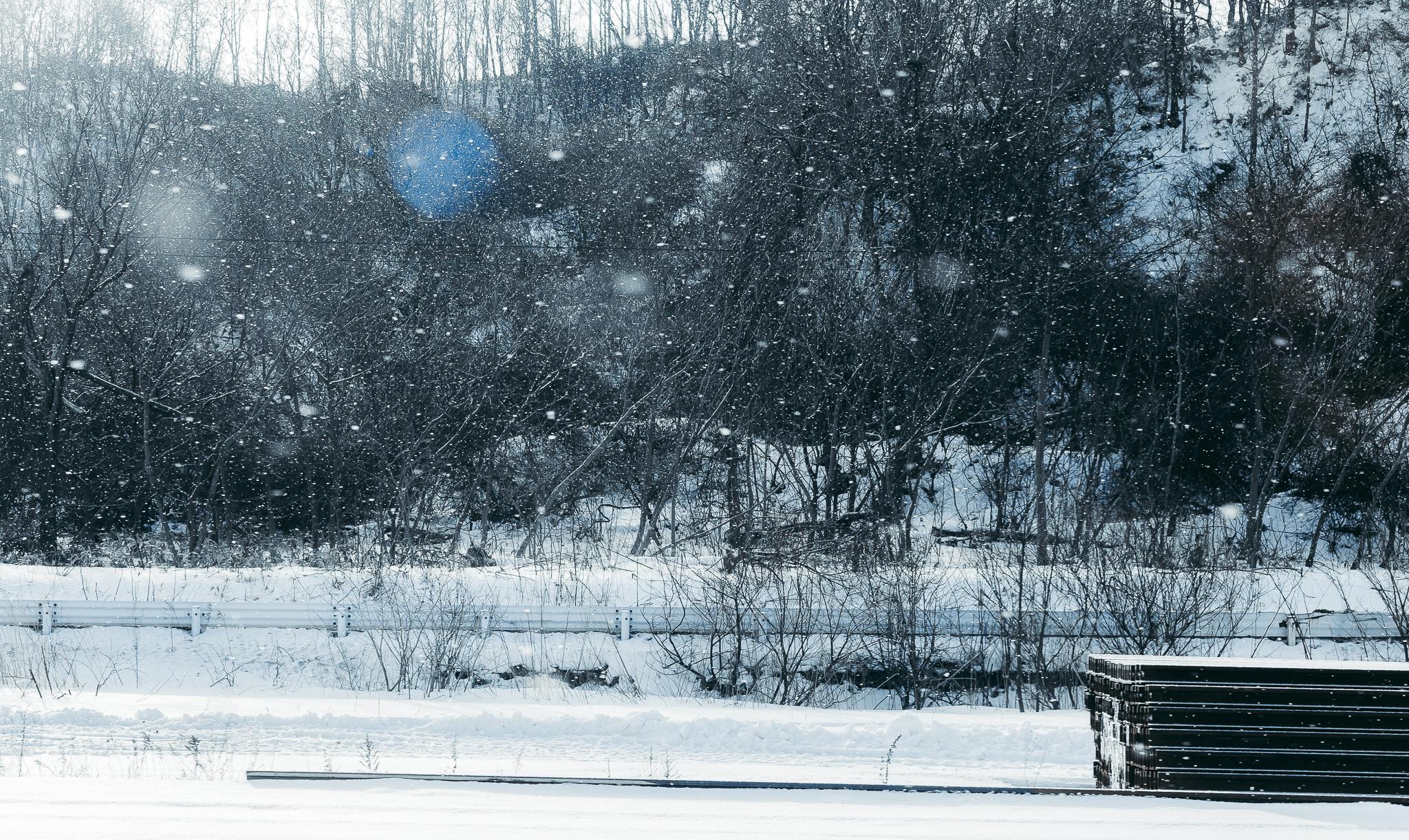 Hokkaido mua dong anh 13