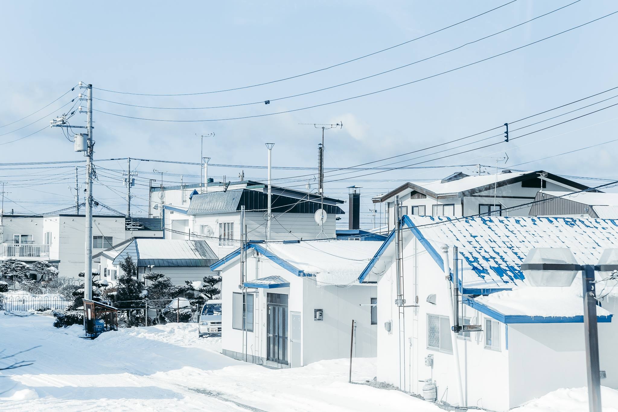 Hokkaido mua dong anh 25