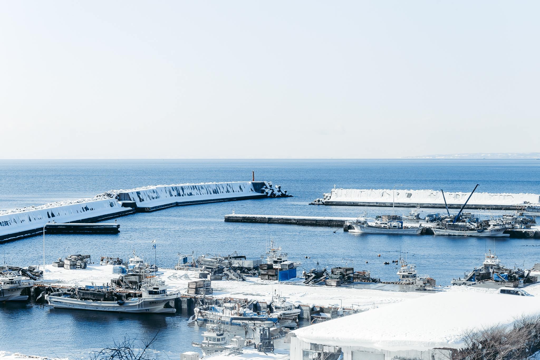 Hokkaido mua dong anh 16