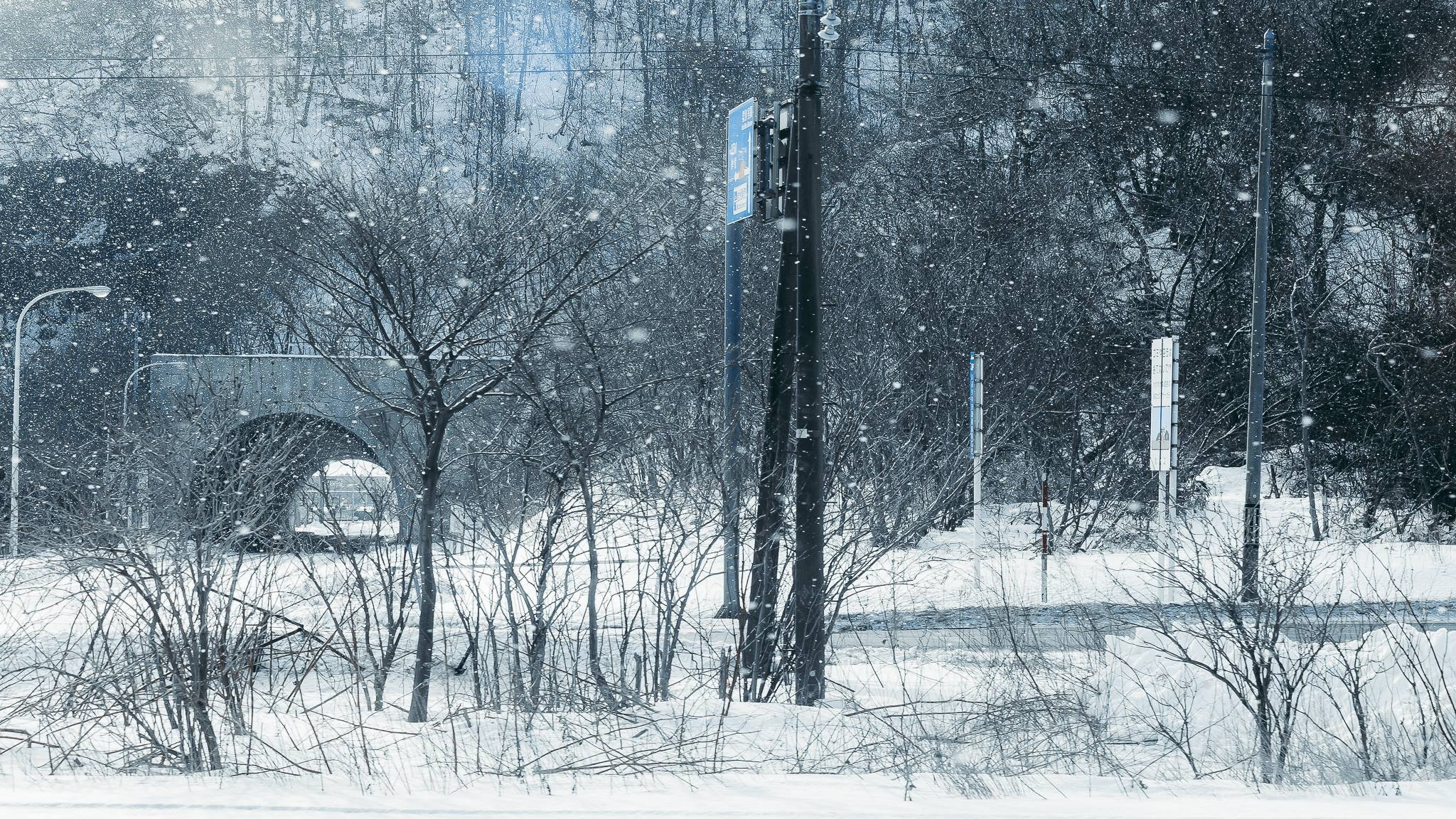 Hokkaido mua dong anh 2