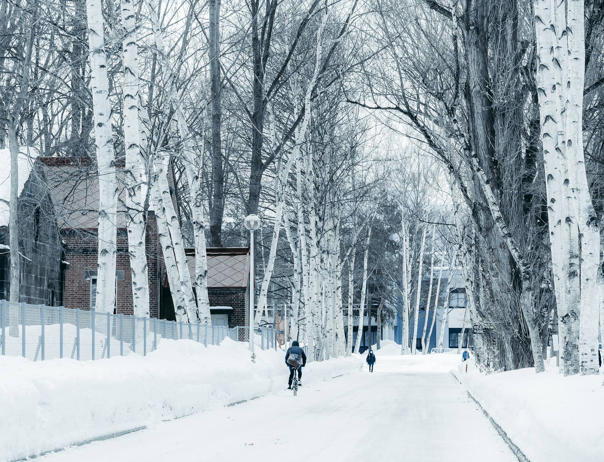 Hokkaido mua dong anh 35