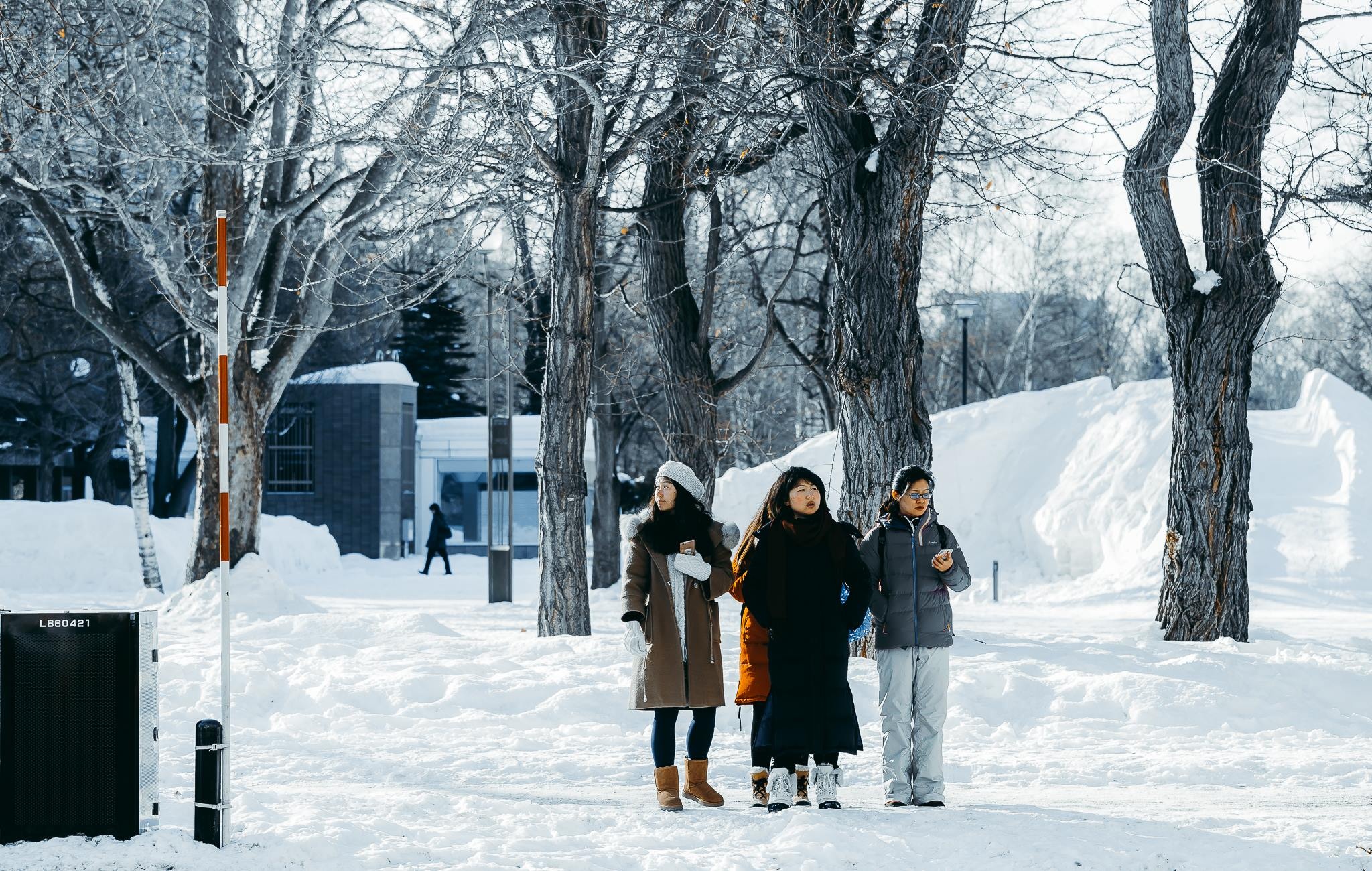 Hokkaido mua dong anh 36