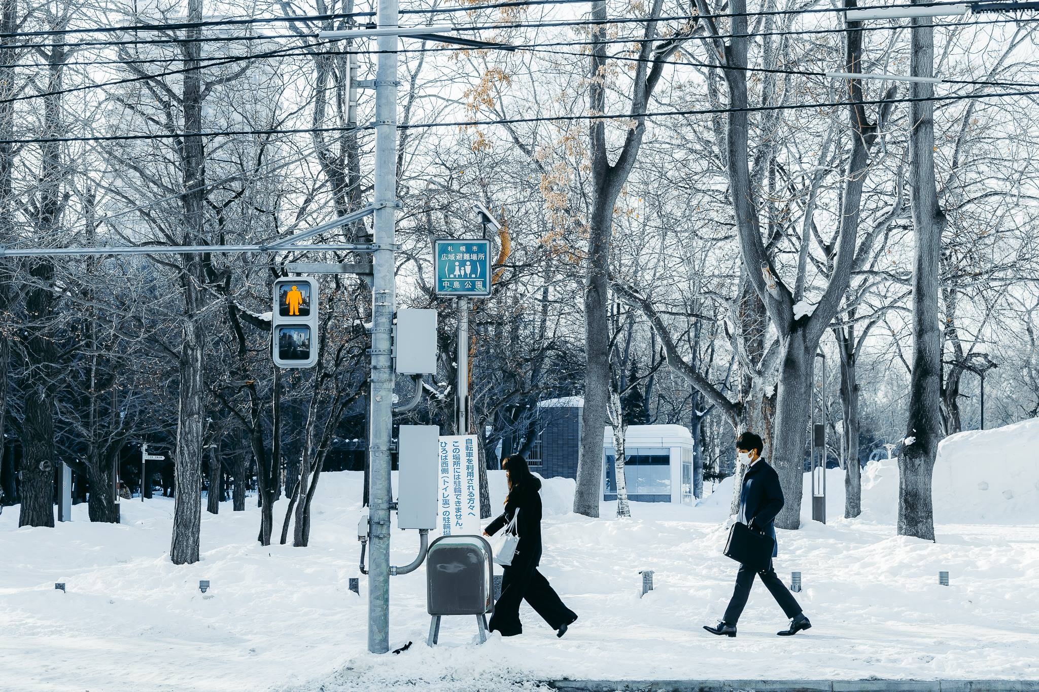 Hokkaido mua dong anh 38