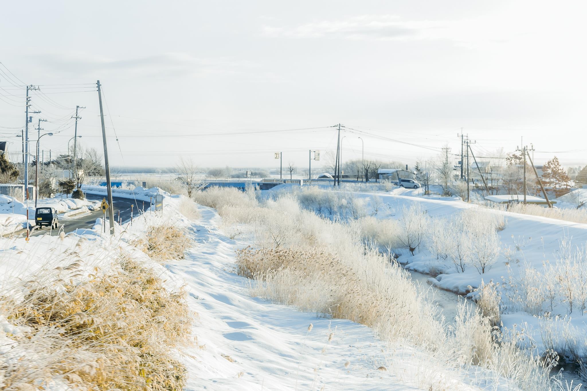 Hokkaido mua dong anh 3