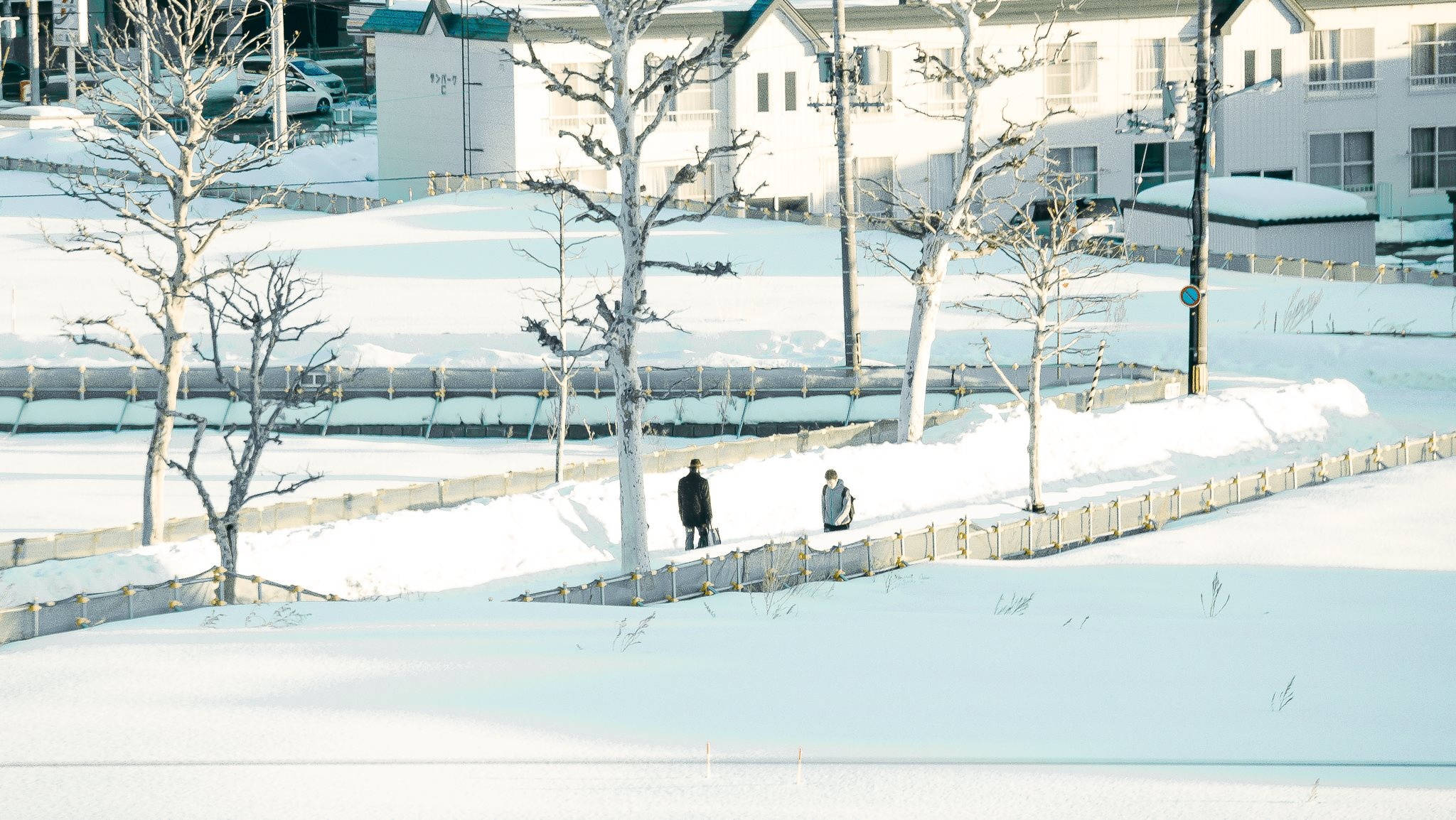 Hokkaido mua dong anh 28