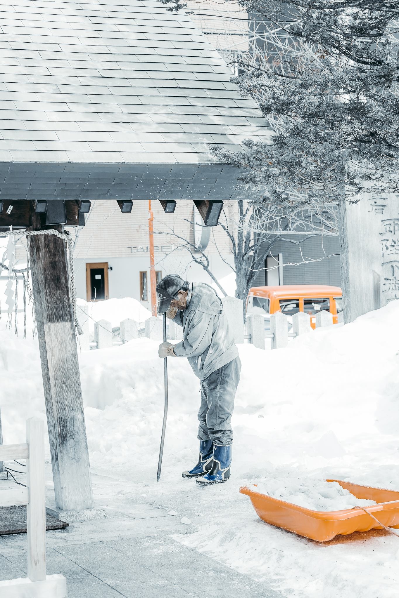 Hokkaido mua dong anh 40