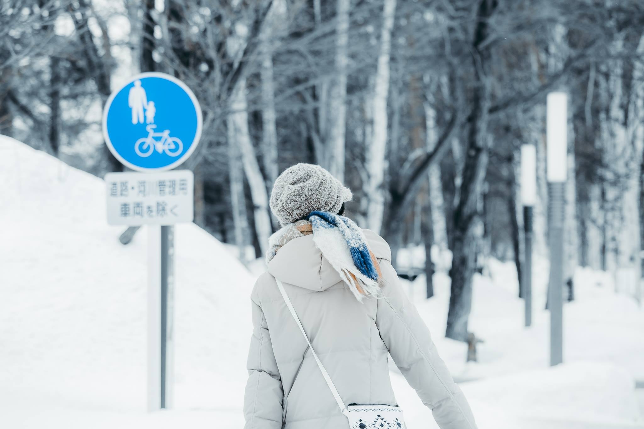 Hokkaido mua dong anh 41