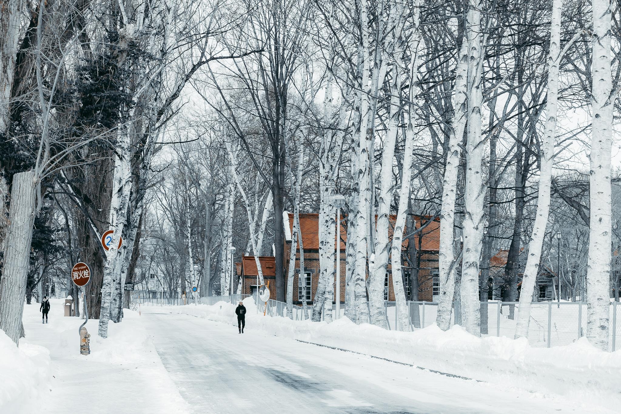 Hokkaido mua dong anh 42