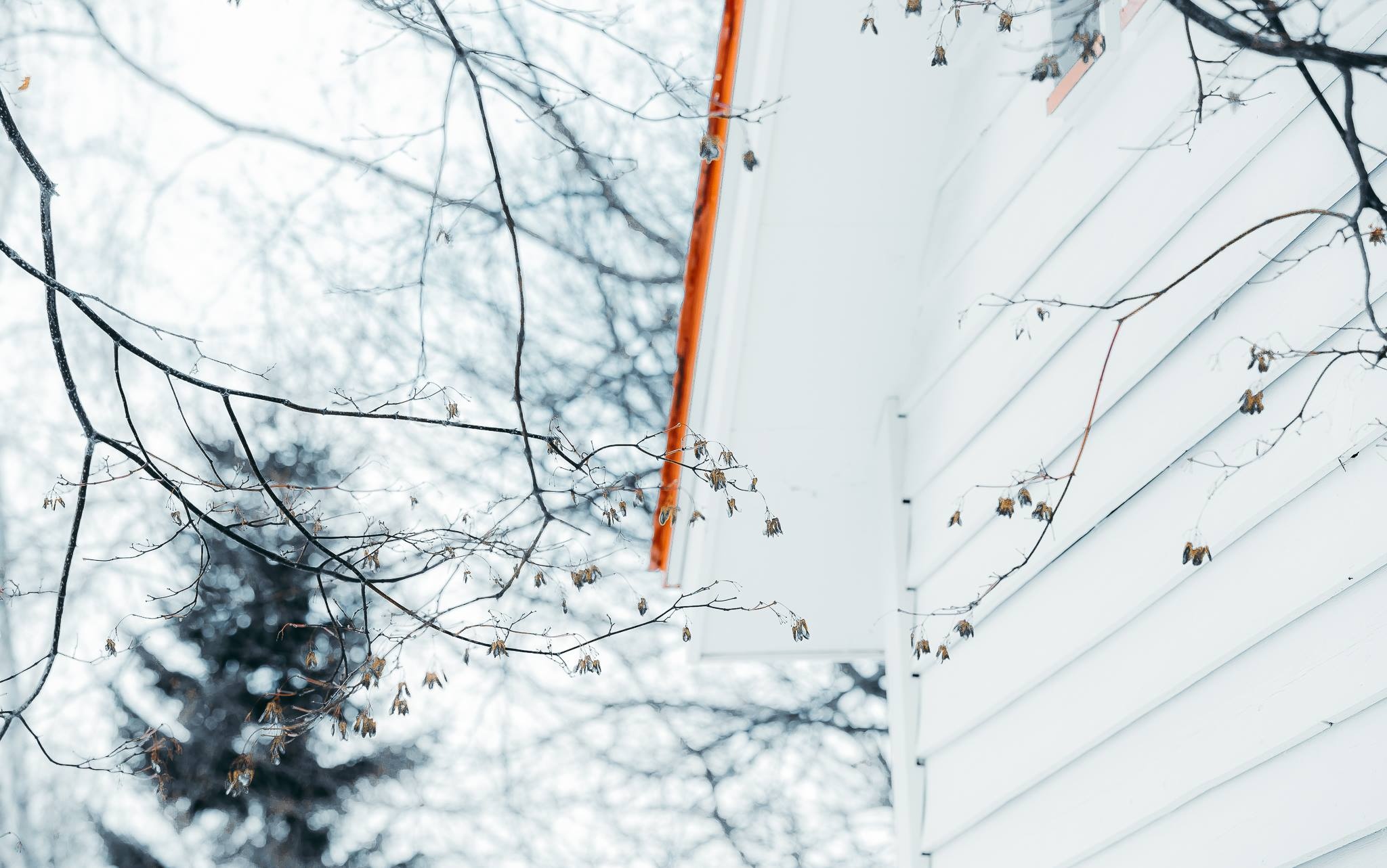 Hokkaido mua dong anh 21