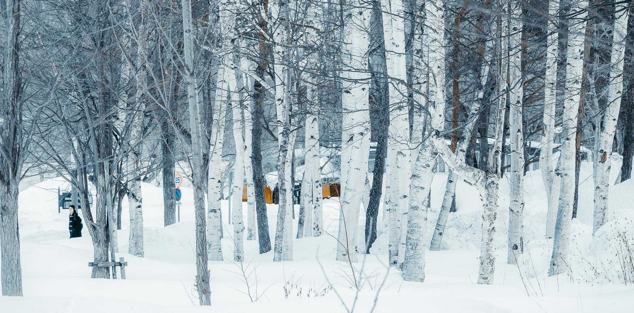 Hokkaido mua dong anh 22