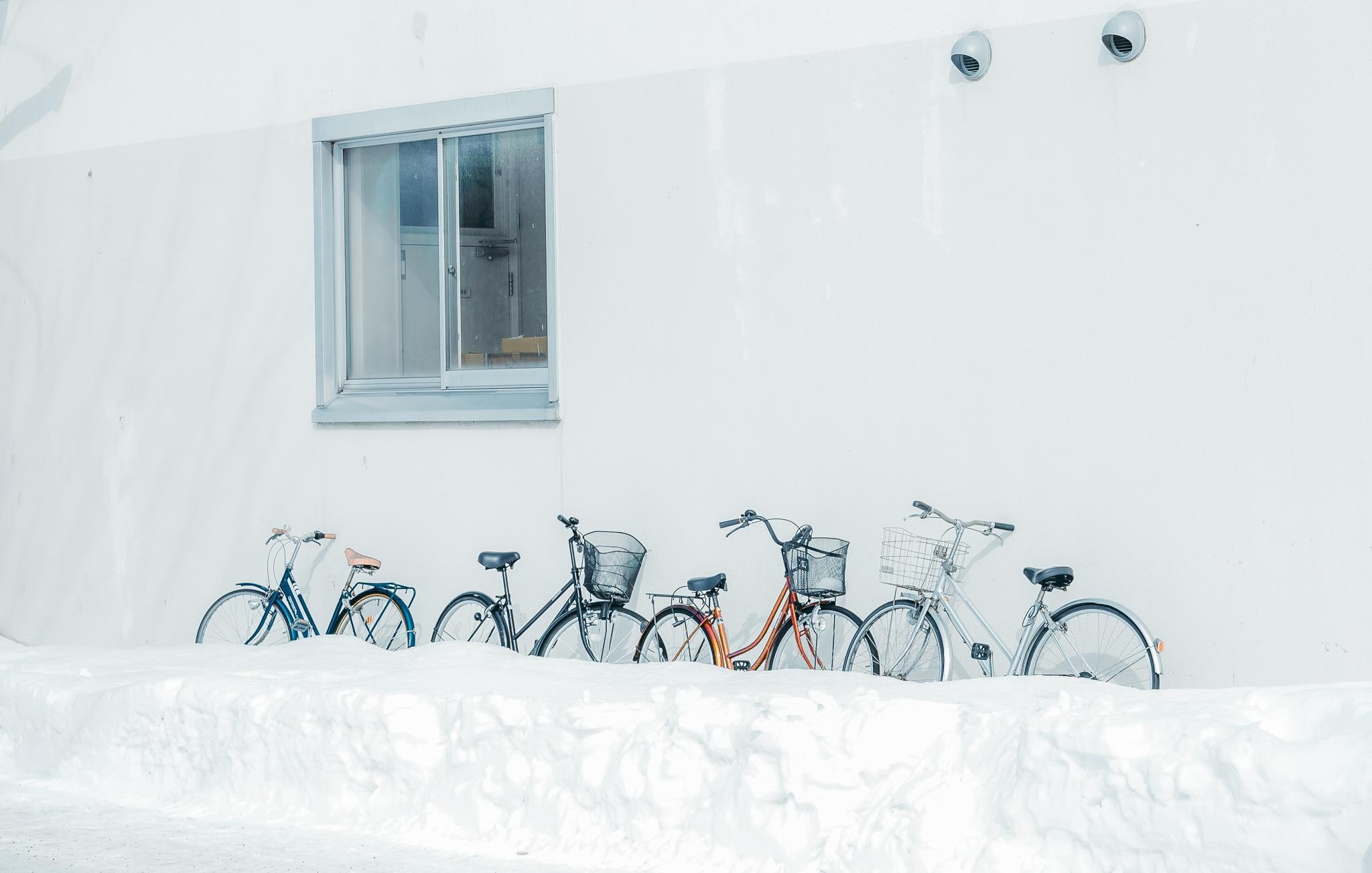 Hokkaido mua dong anh 31