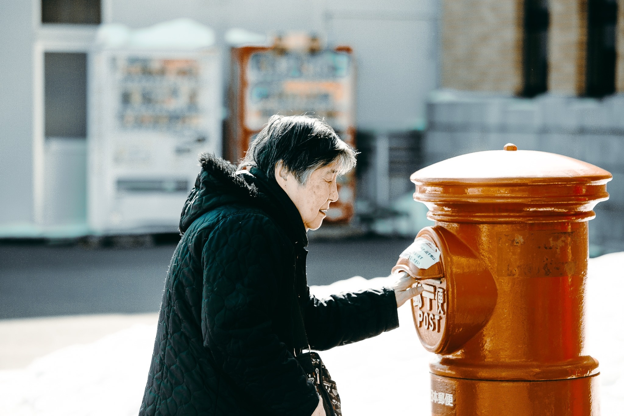 Hokkaido mua dong anh 43