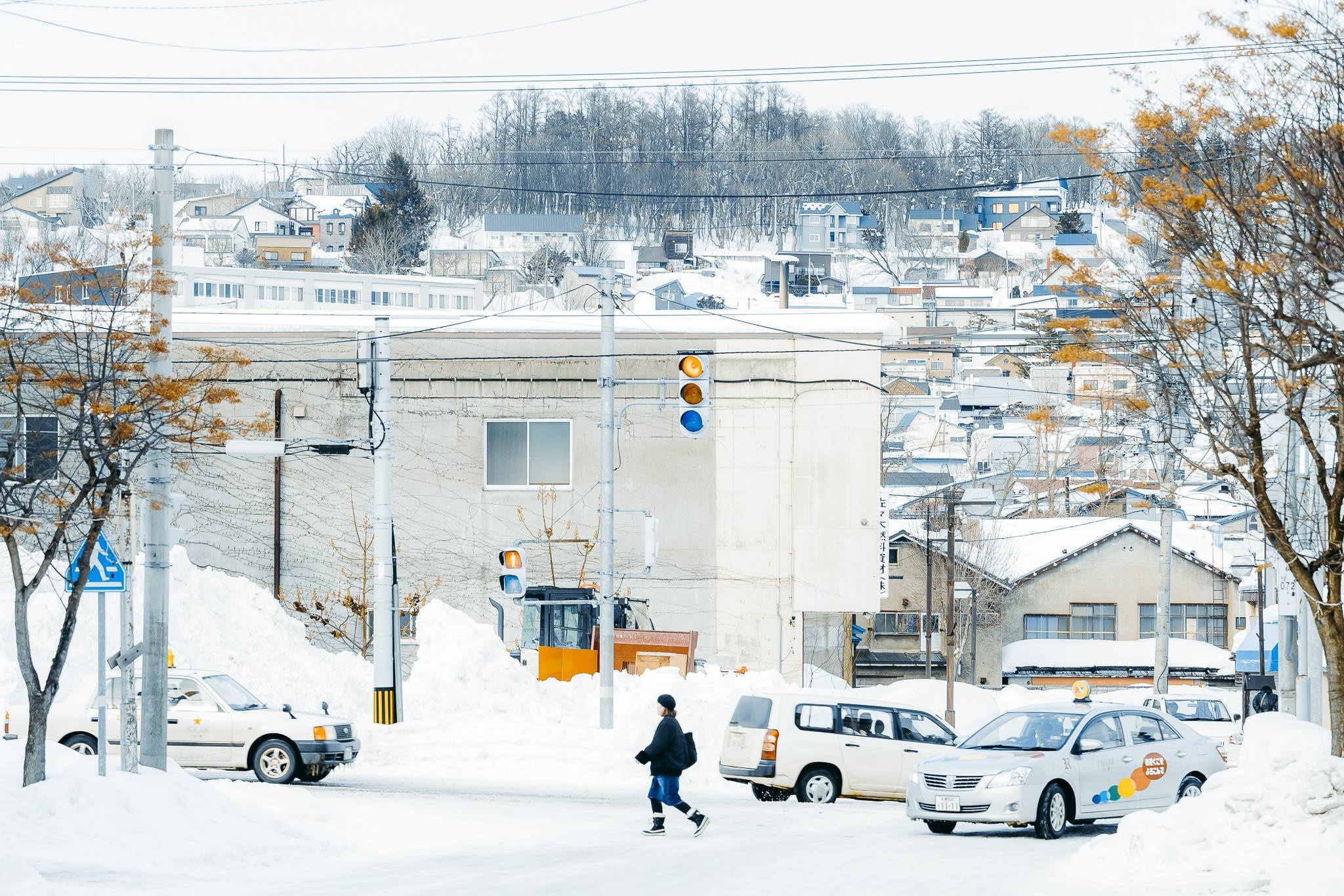 Hokkaido mua dong anh 32