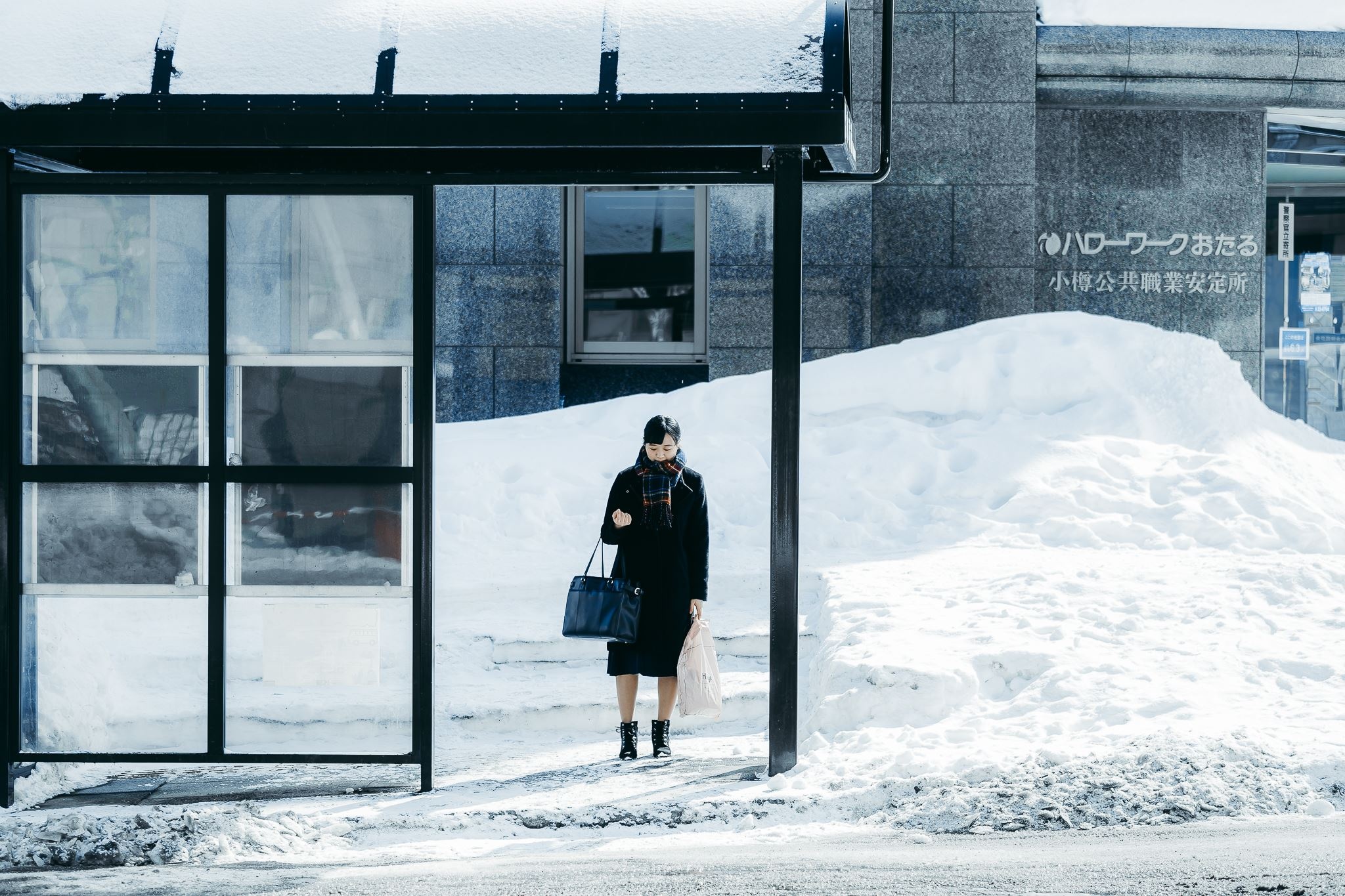 Hokkaido mua dong anh 45