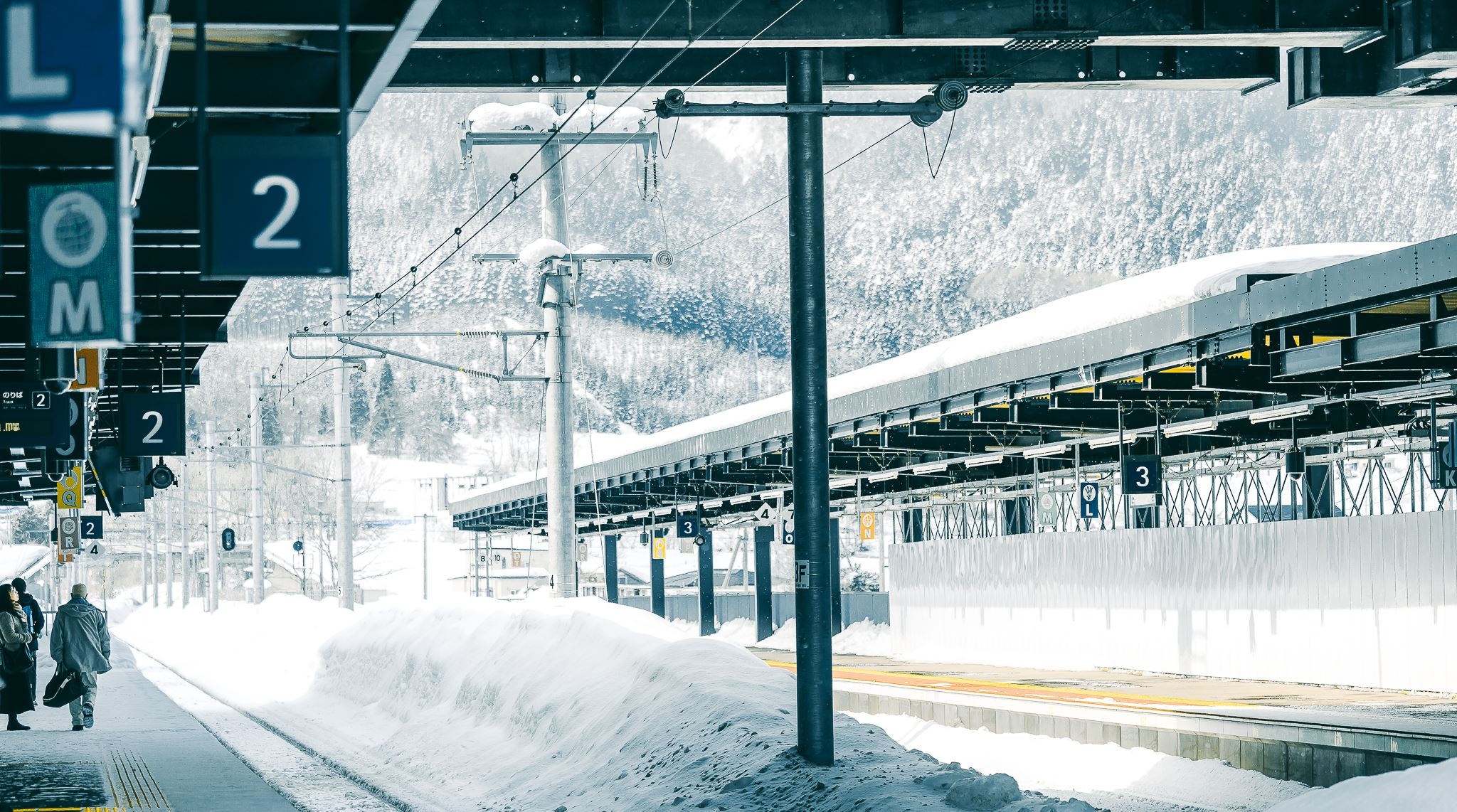 Hokkaido mua dong anh 24