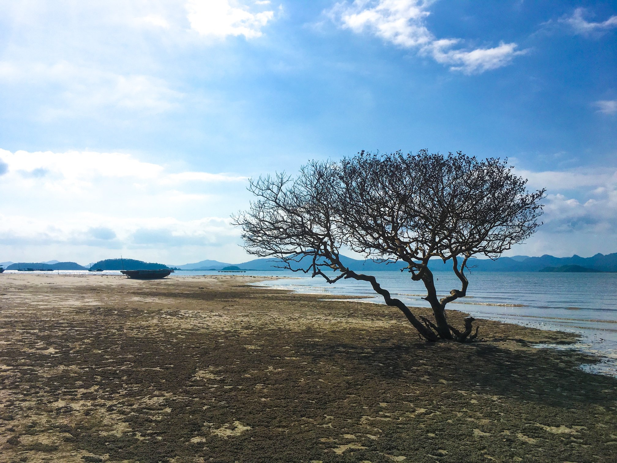 Du lich Quang Ninh anh 16