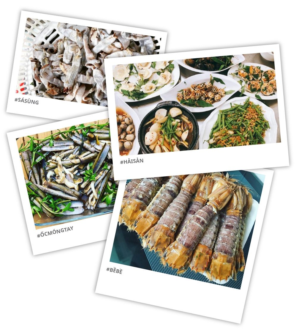 Hanh trinh kham pha Ha Long anh 16