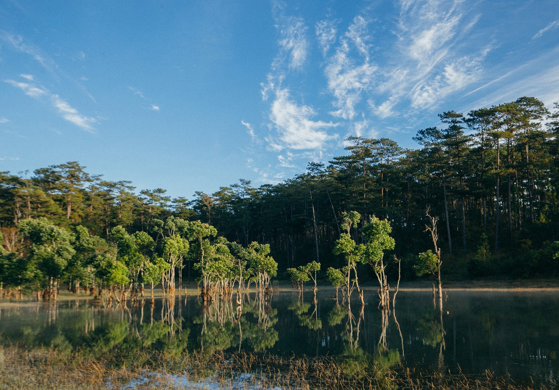 Đà Lạt ảnh 5 Da Lat anh 5