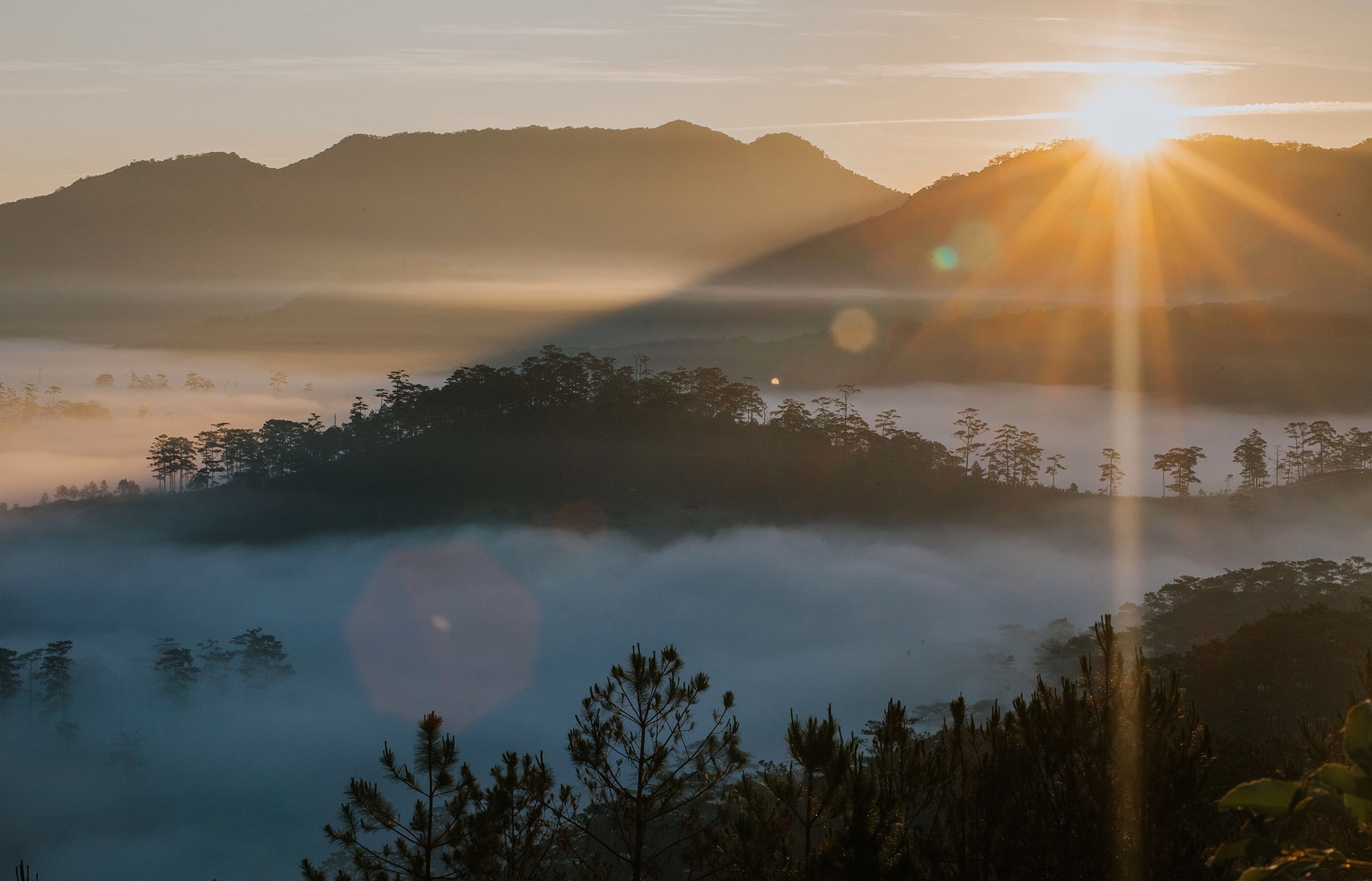 Đà Lạt ảnh 6 Da Lat anh 6