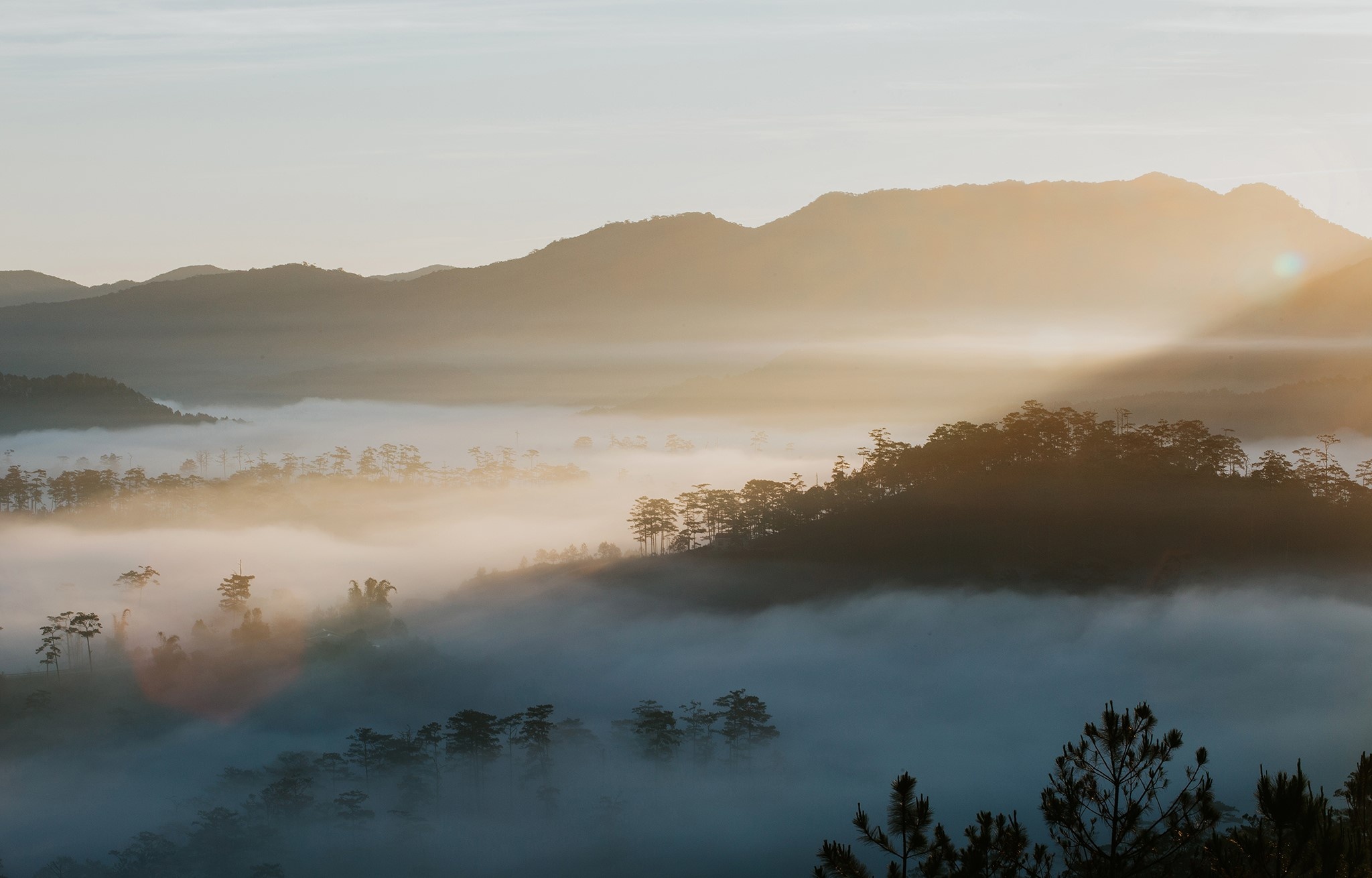 Đà Lạt ảnh 7 Da Lat anh 7