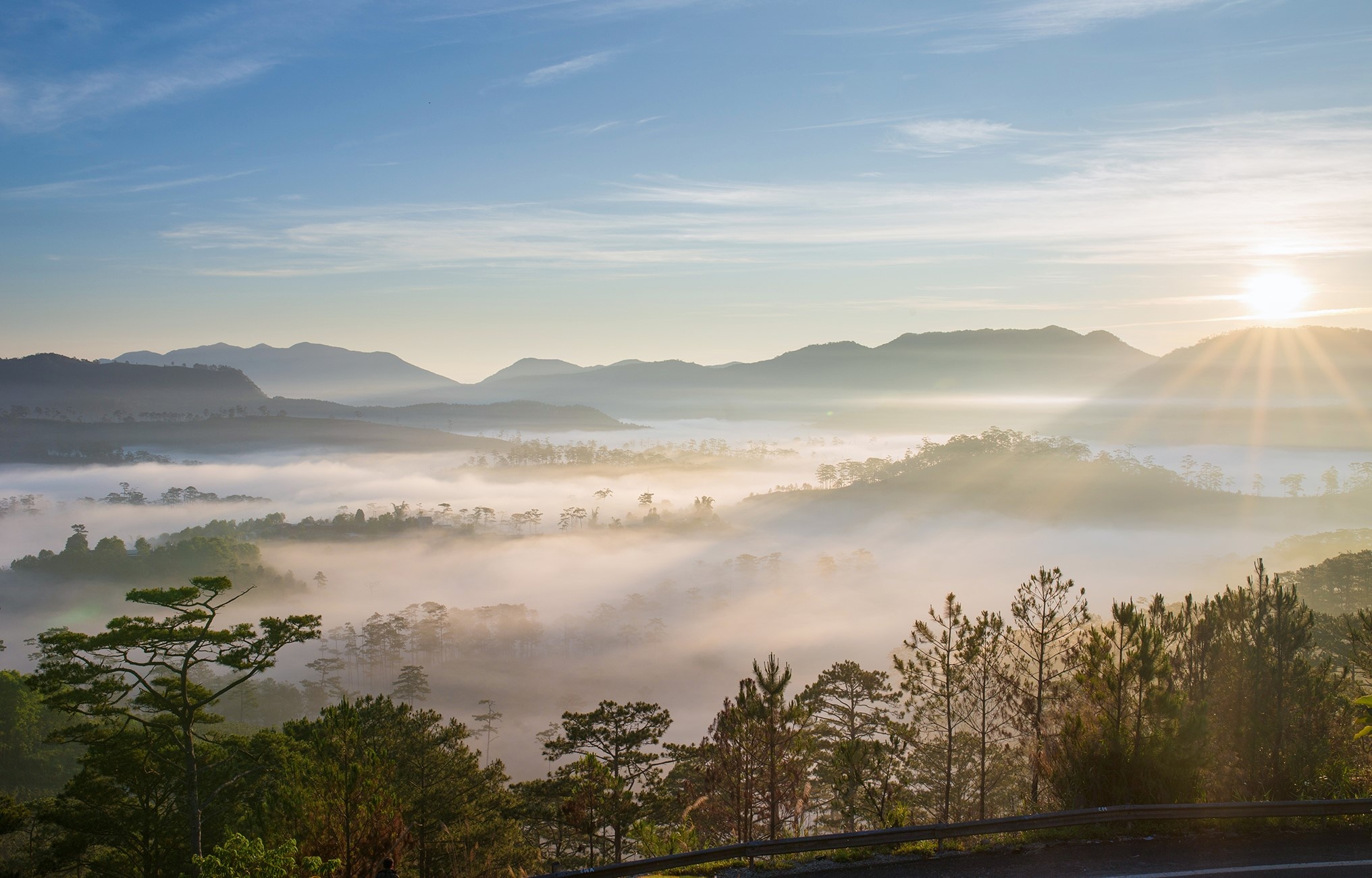 Đà Lạt ảnh 8 Da Lat anh 8
