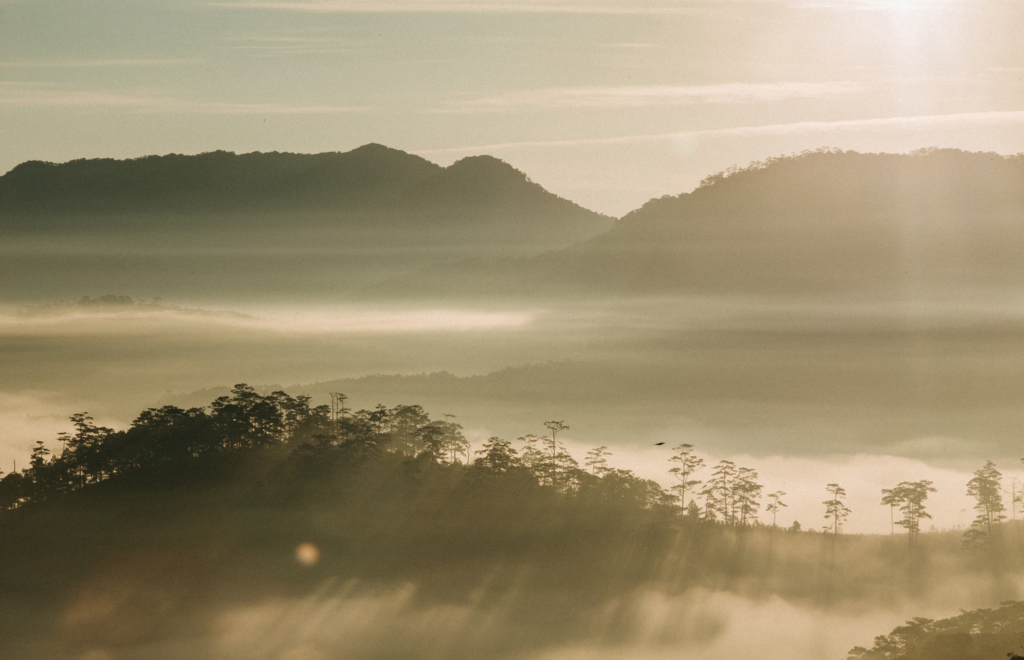 Đà Lạt ảnh 9 Da Lat anh 9