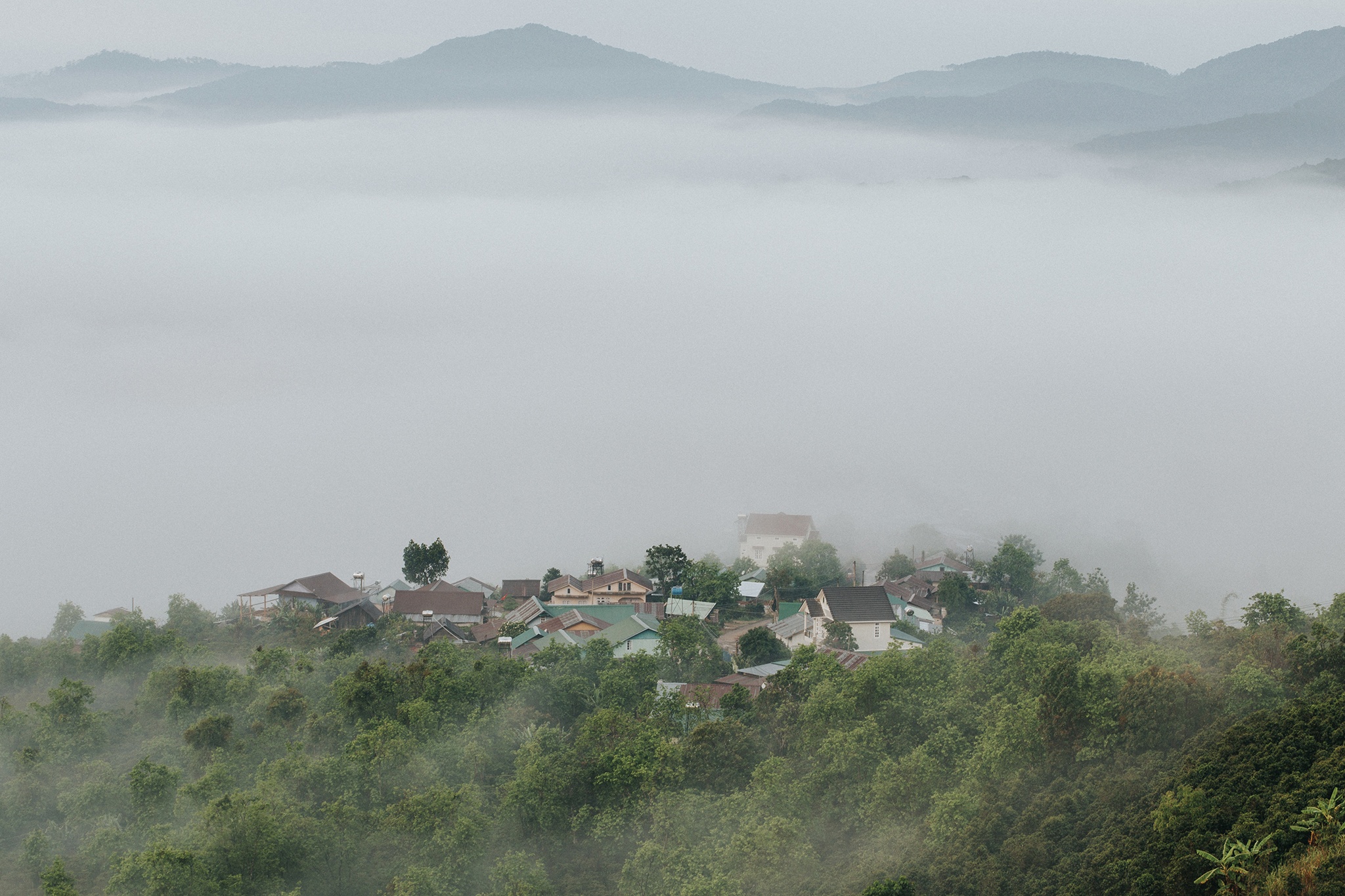 Đà Lạt ảnh 21 Da Lat anh 21