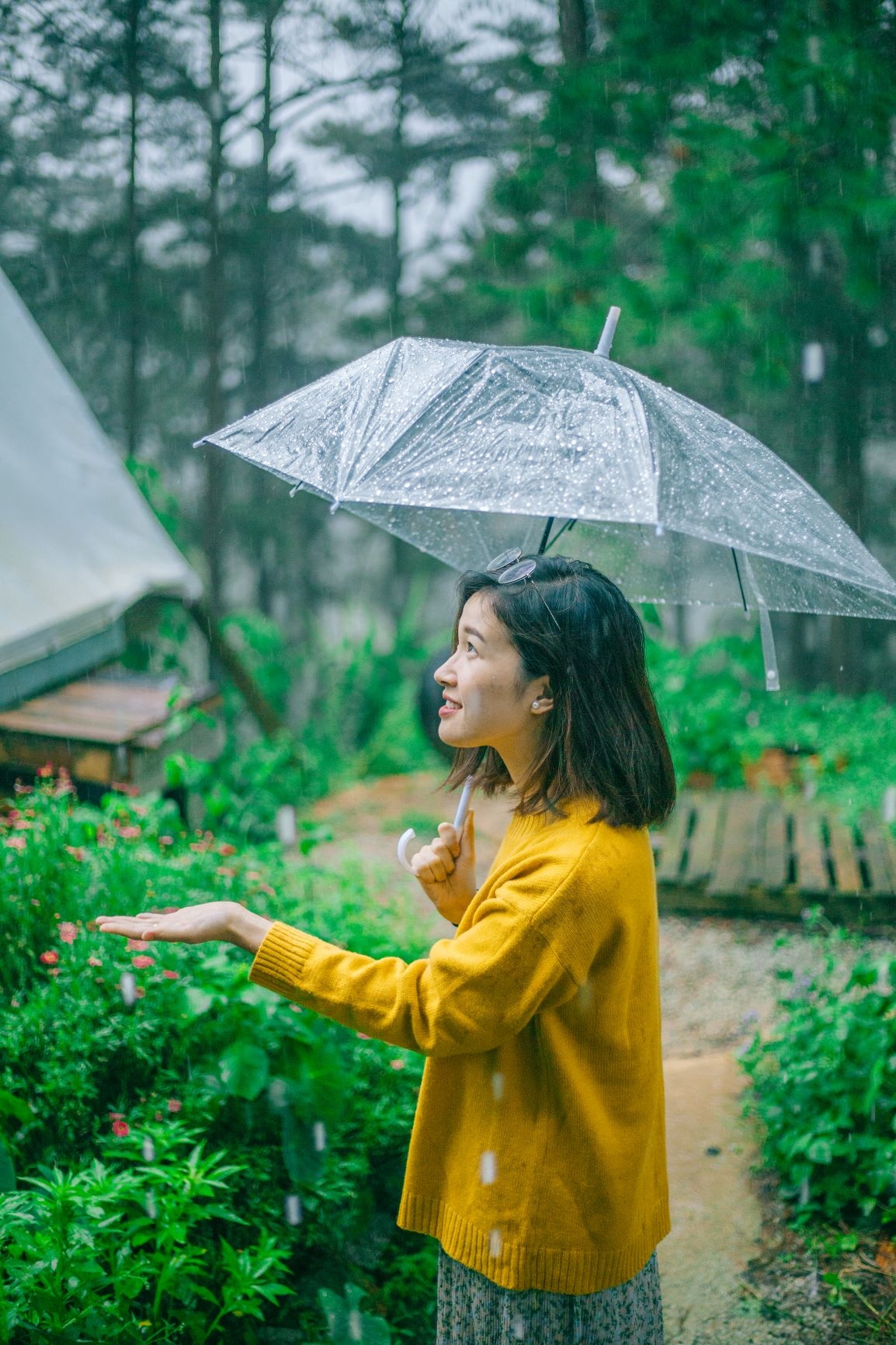 Đà Lạt ảnh 33 Da Lat anh 33
