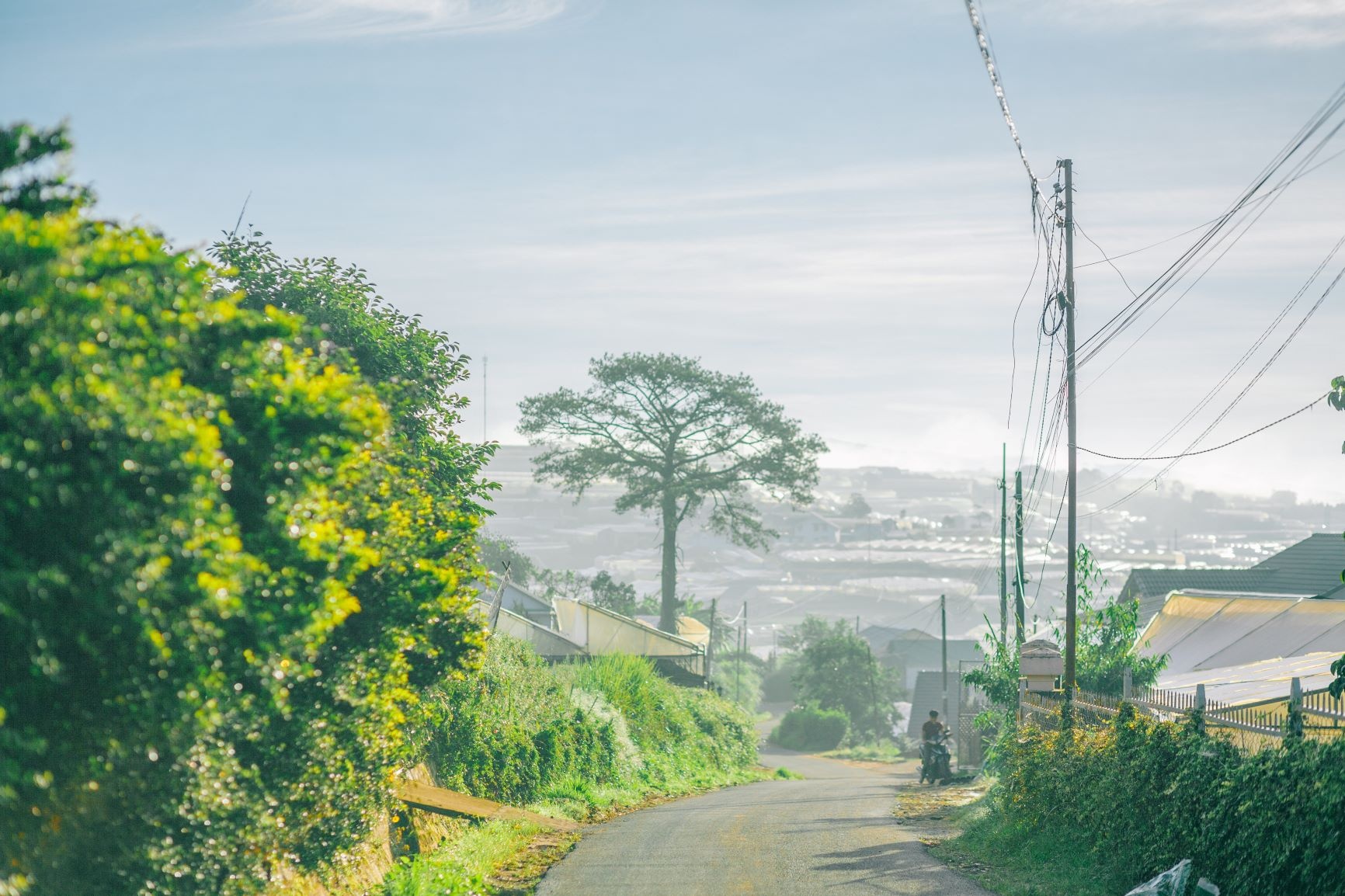 Đà Lạt ảnh 35 Da Lat anh 35