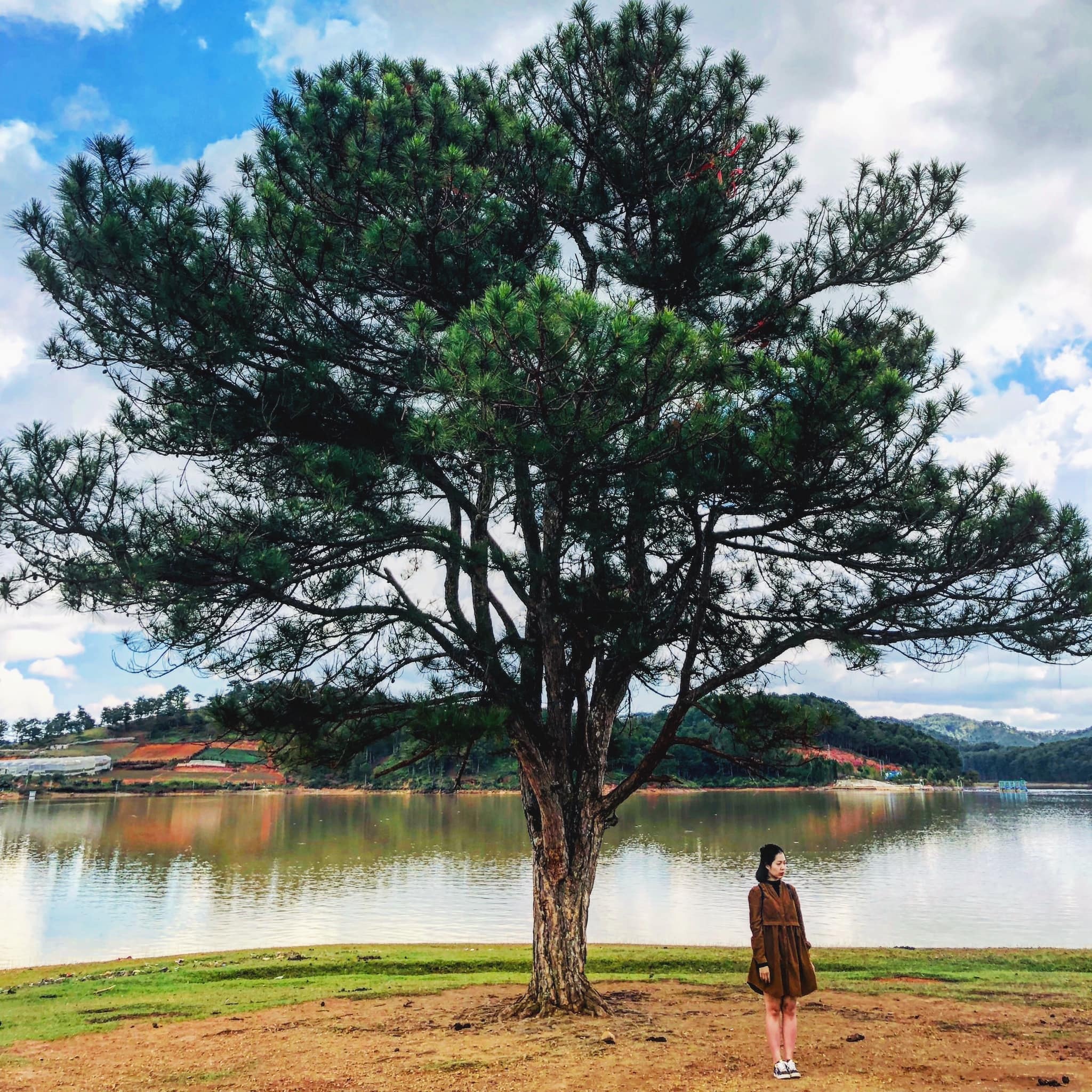 Check-in Da Lat anh 9