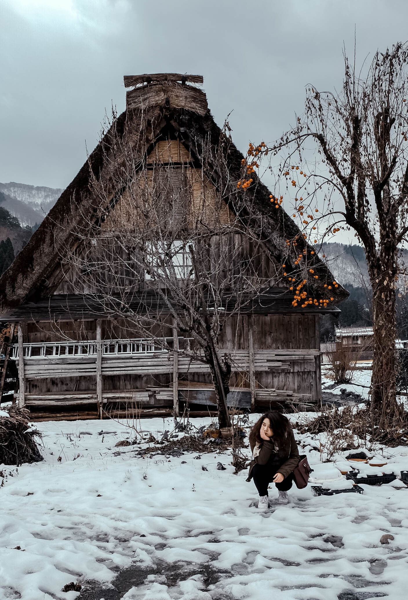 Lang co Nhat Ban anh 26