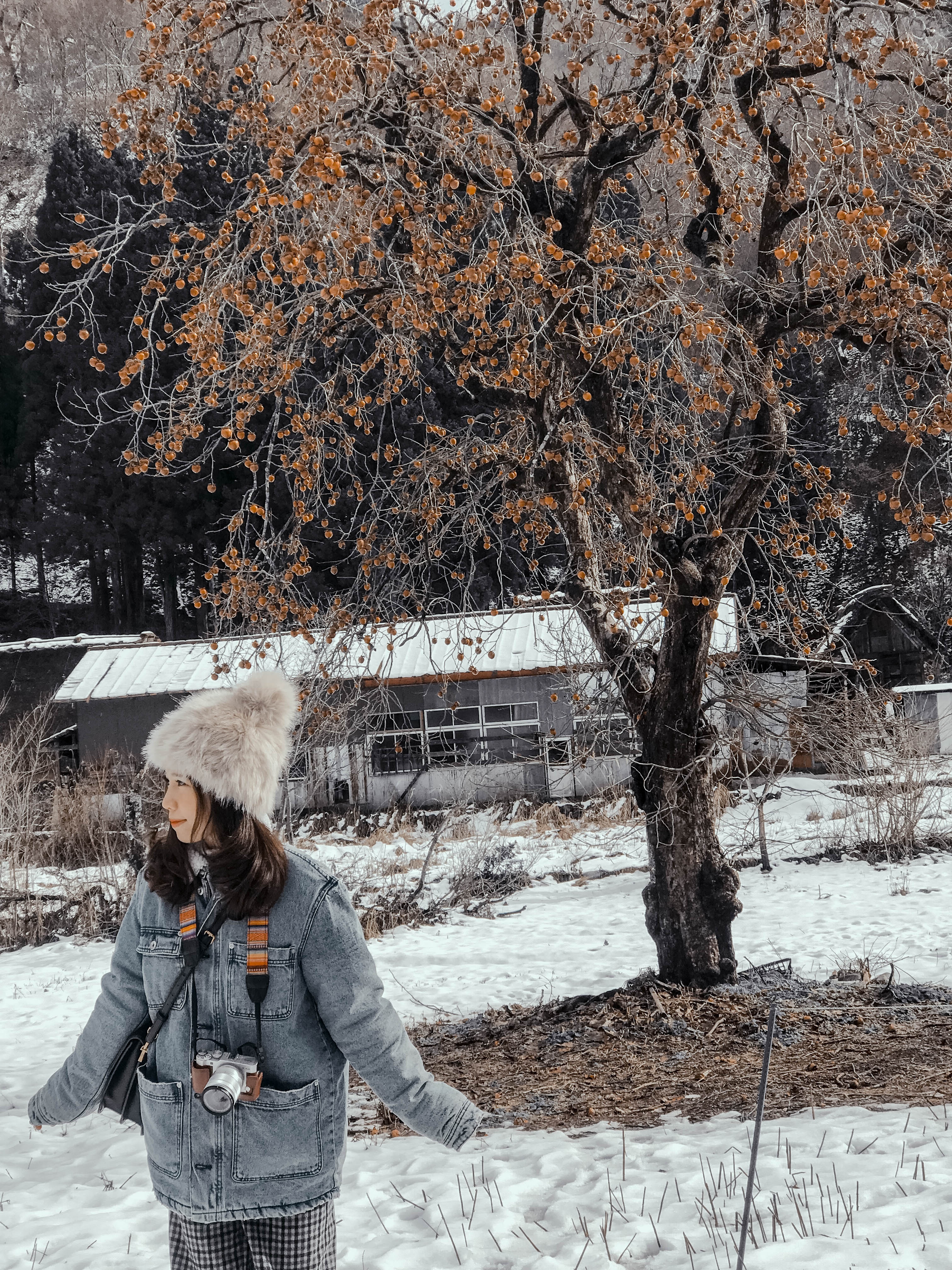 Lang co Nhat Ban anh 15