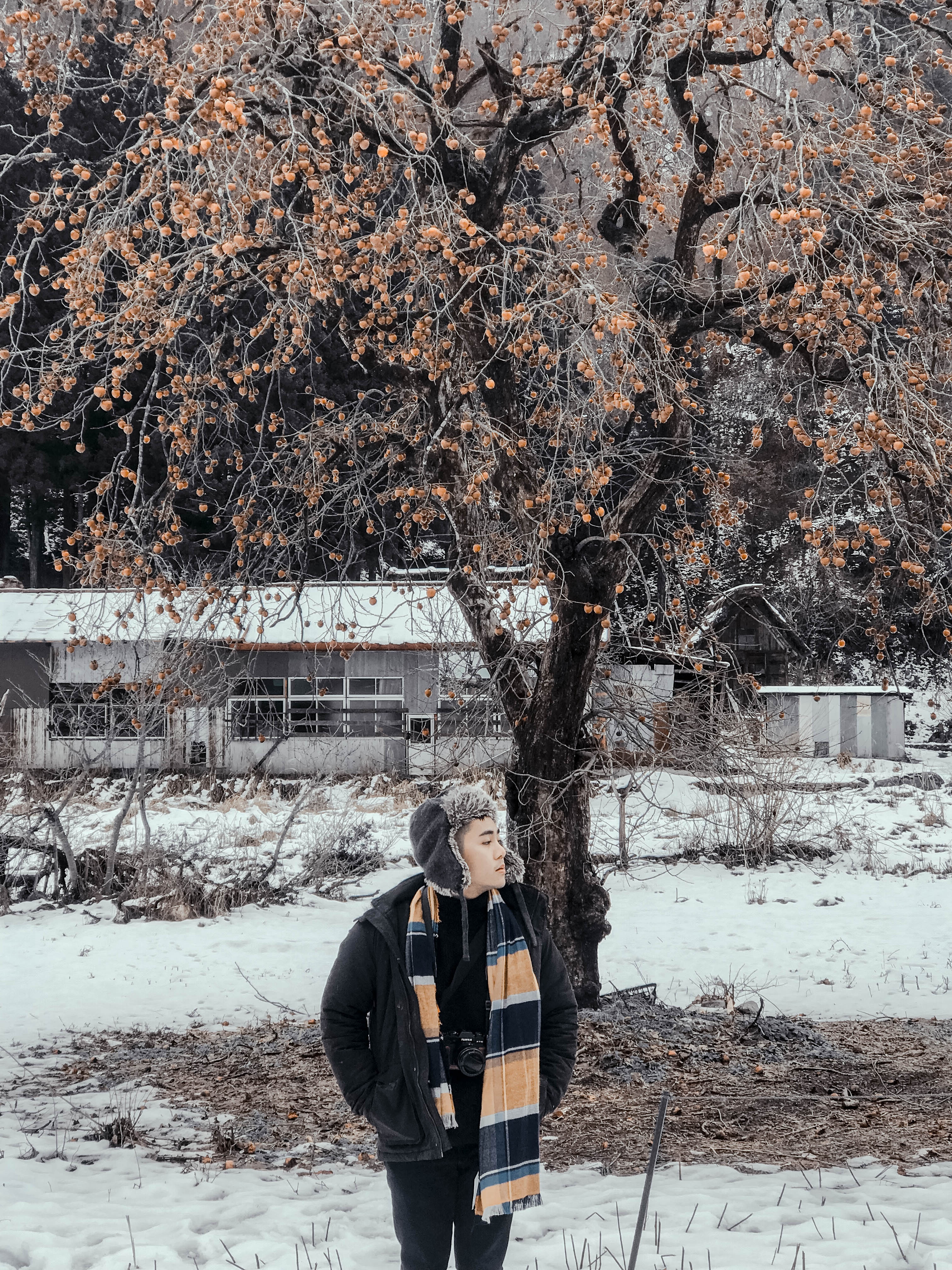 Lang co Nhat Ban anh 16