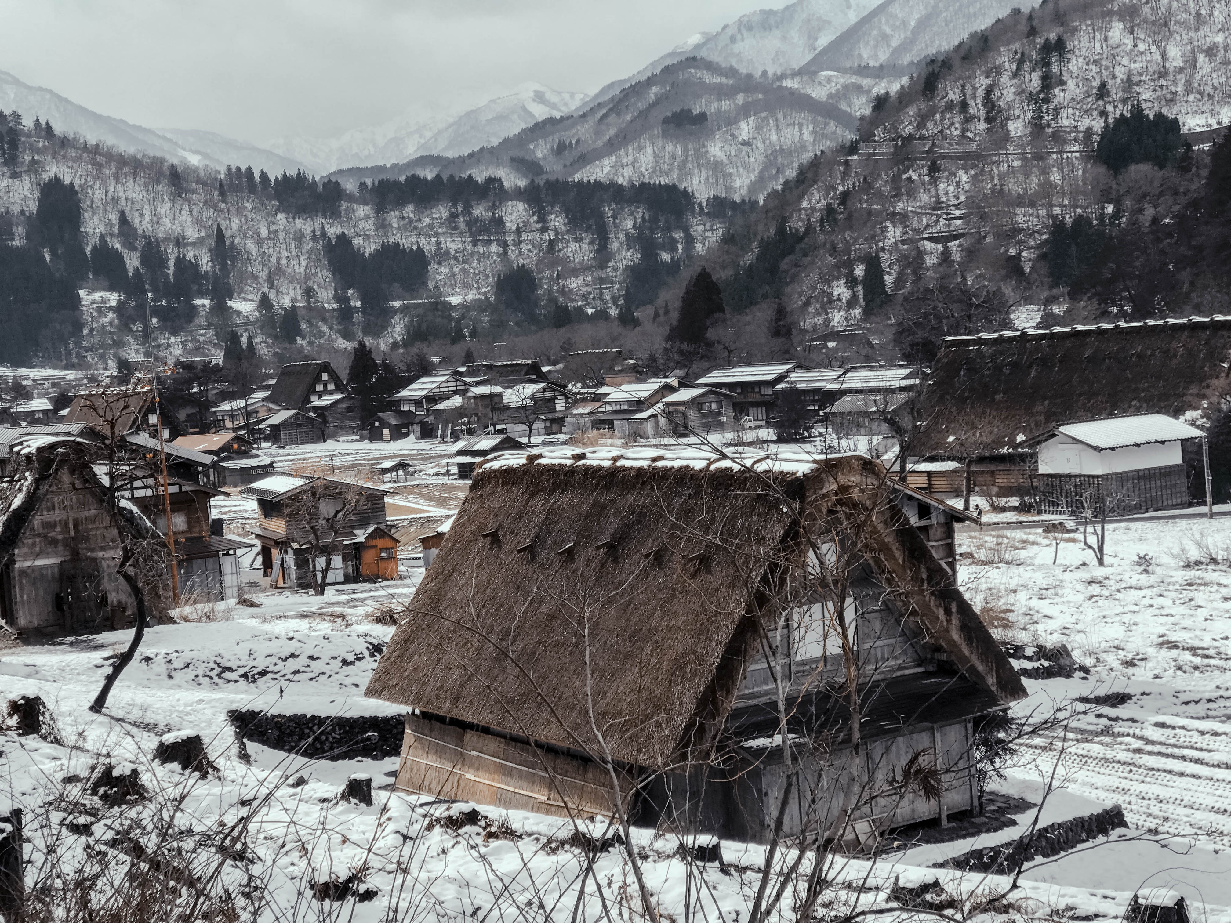 Lang co Nhat Ban anh 2