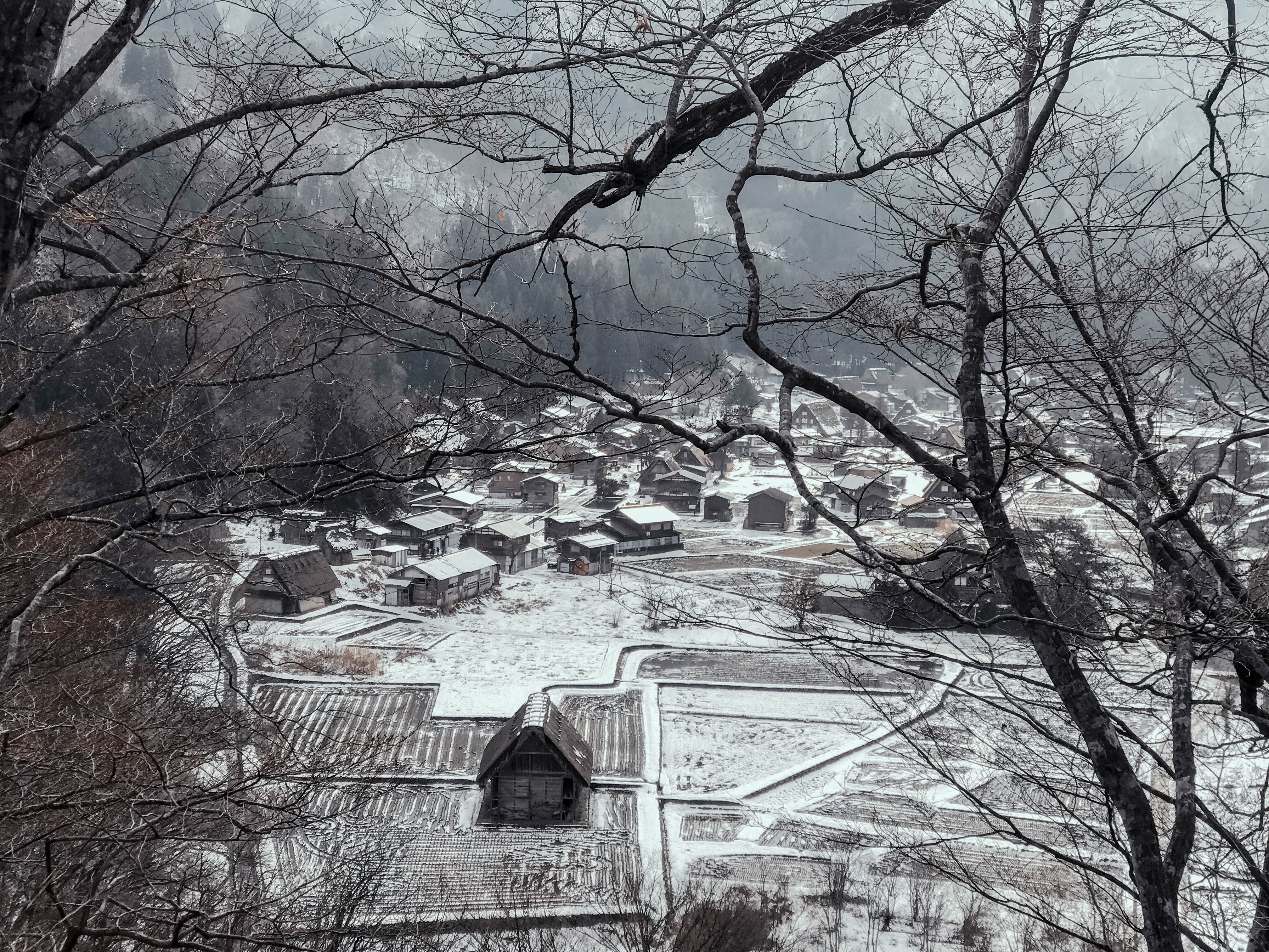 Lang co Nhat Ban anh 14