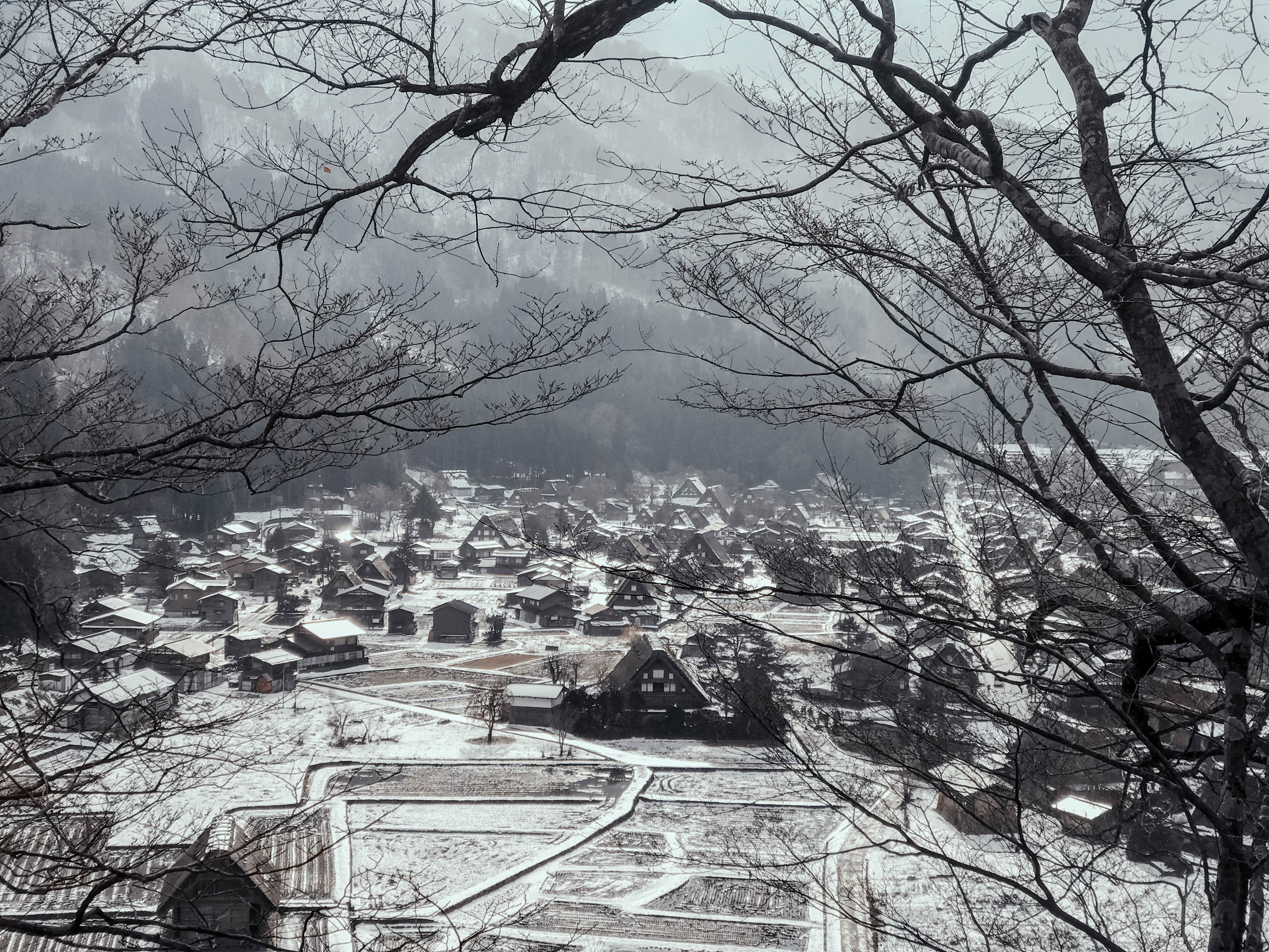 Lang co Nhat Ban anh 12