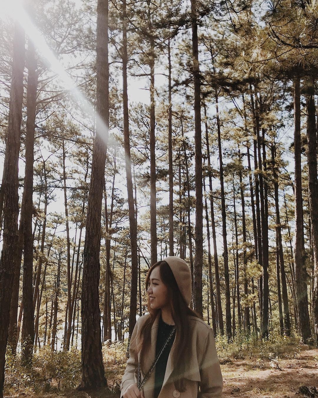 Check-in Da Lat anh 11