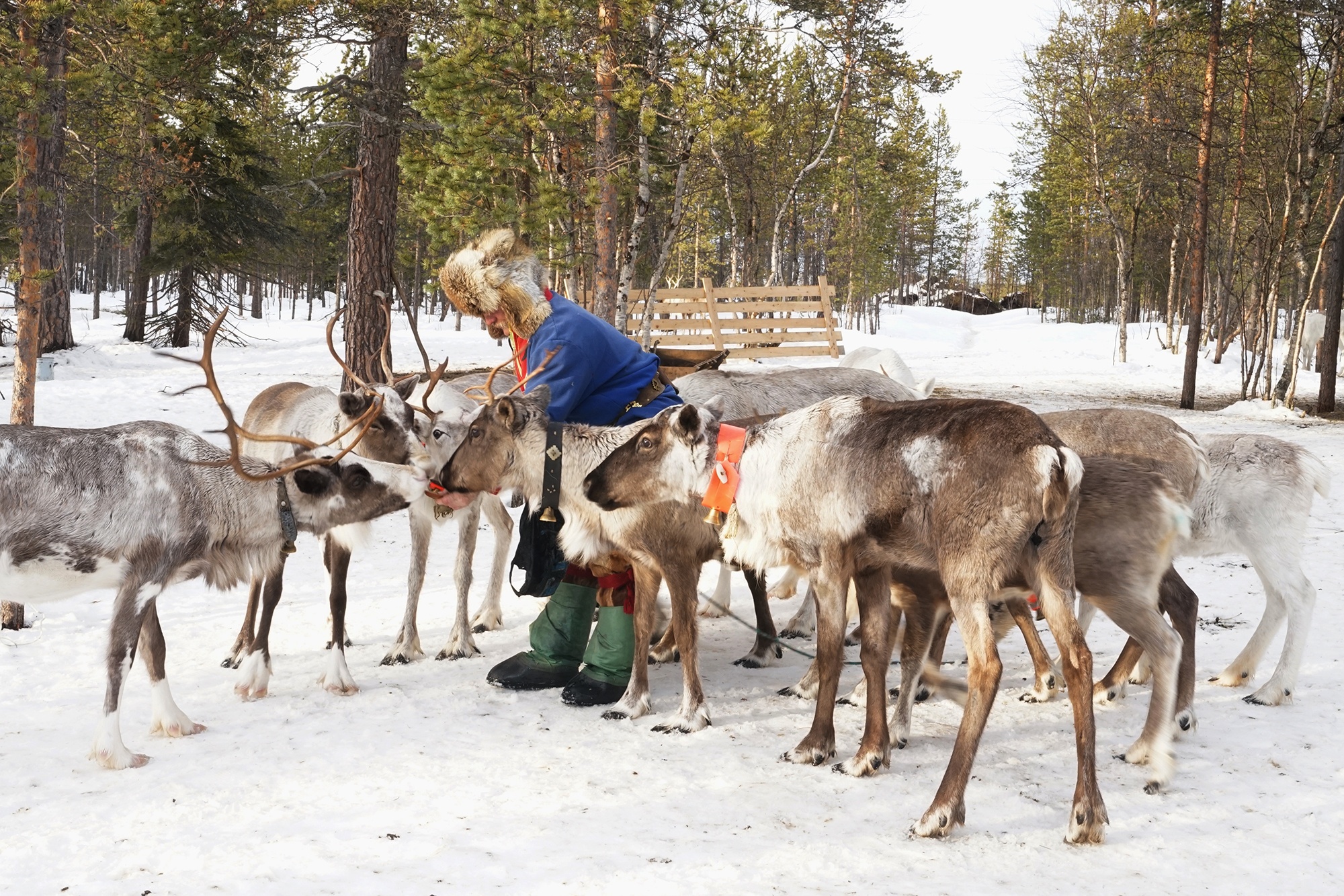 Kham pha Murmansk anh 24