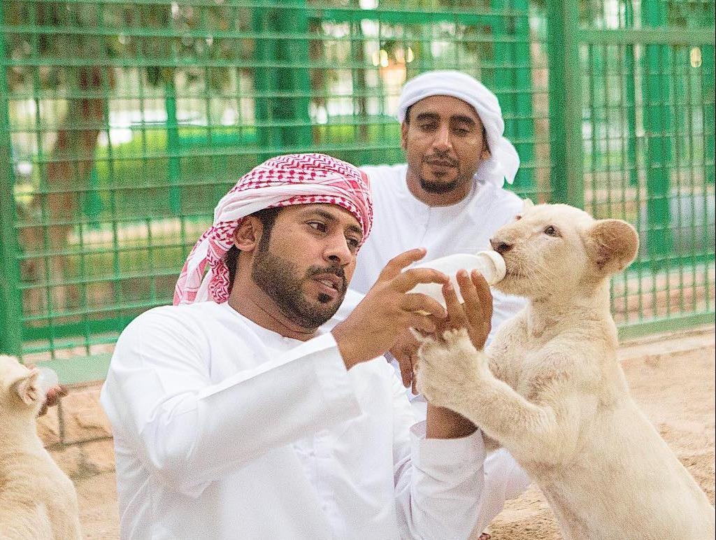 Thu vui nuoi su tu va so thich xa hoa cua gioi nha giau Dubai hinh anh